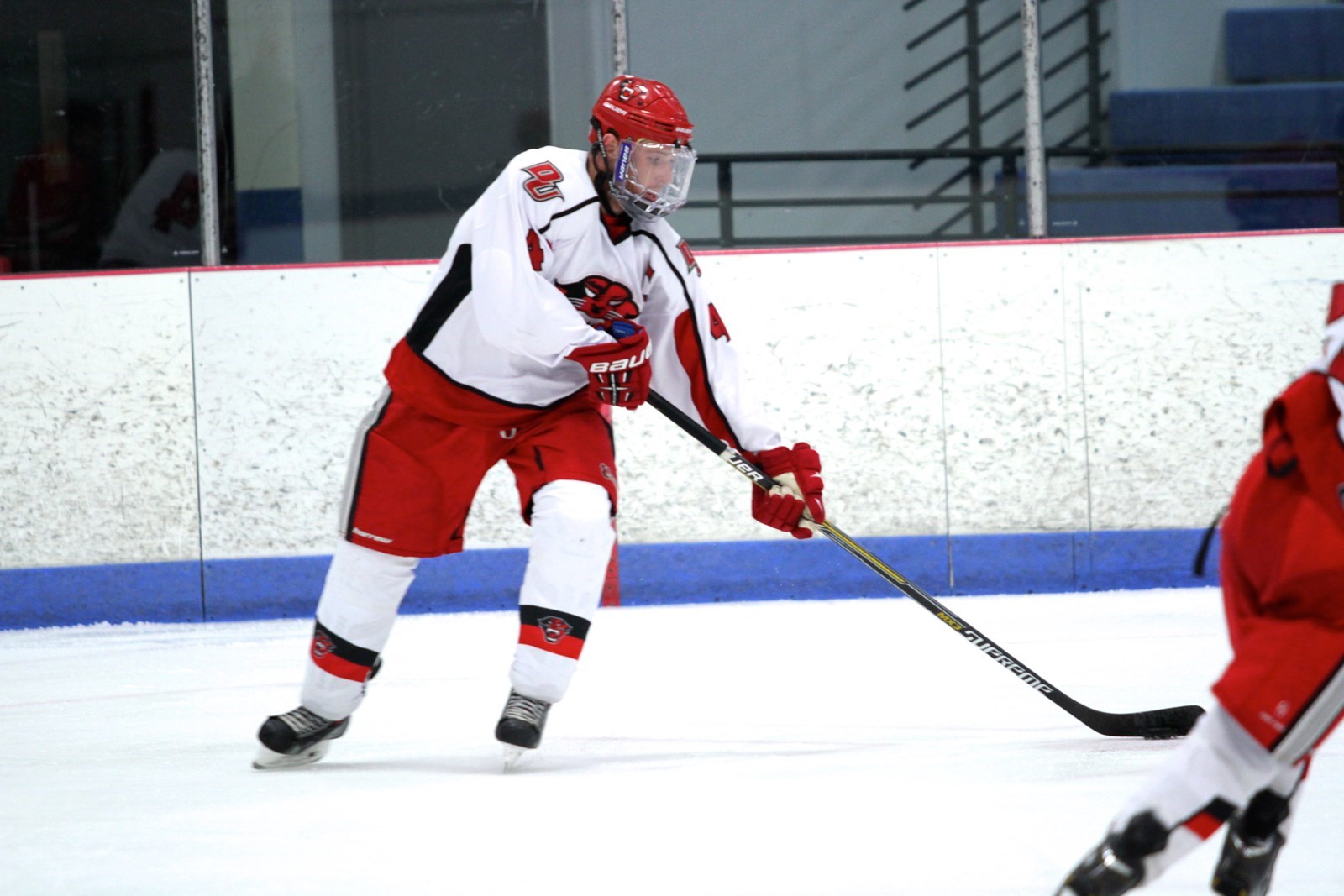 Daniel Swink Men's Ice Hockey (DII) Davenport University Athletics