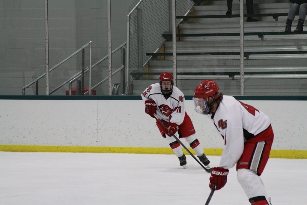 Daniel Swink Men's Ice Hockey (DIII) Davenport University Athletics