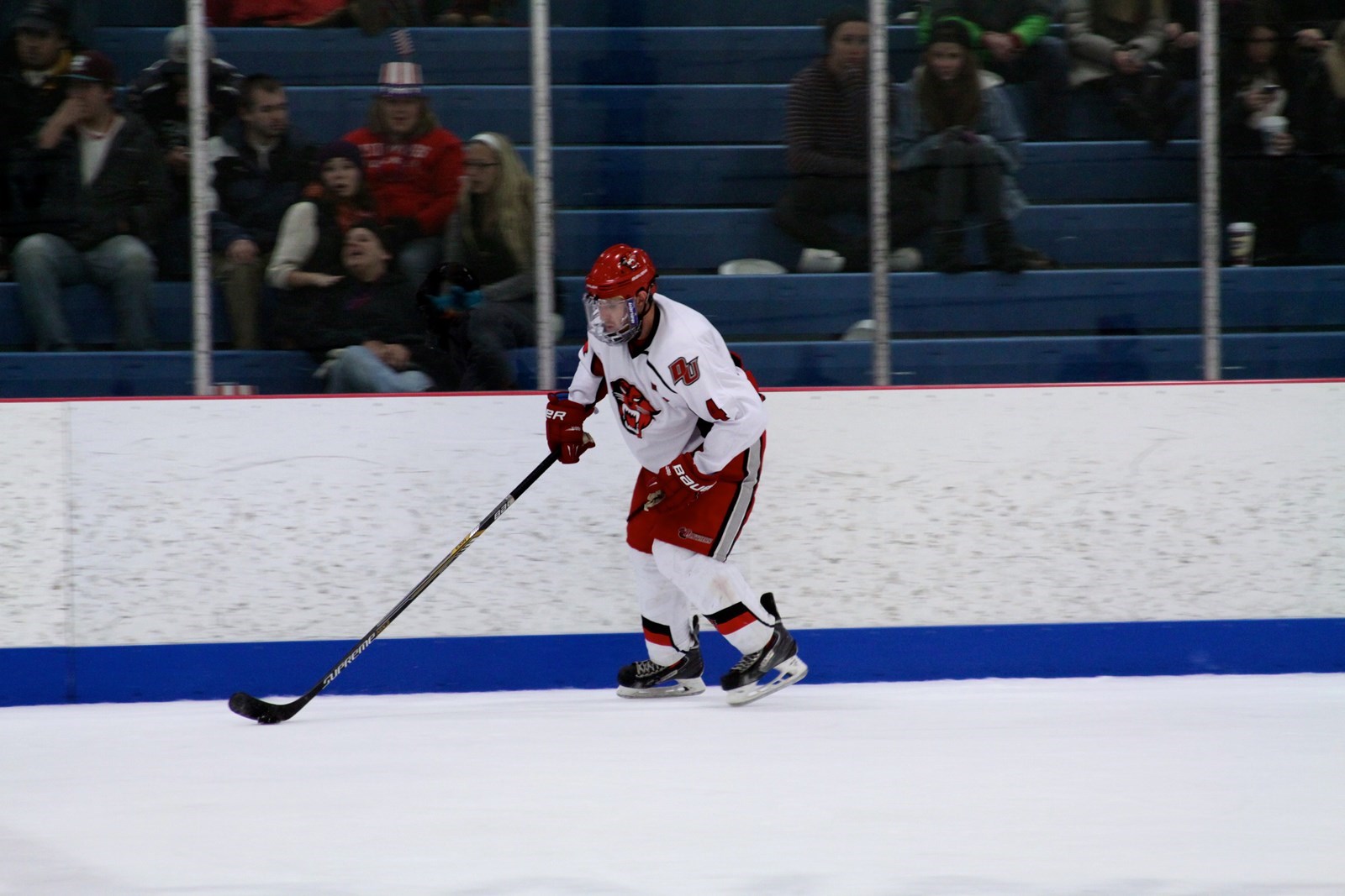 Daniel Swink Men's Ice Hockey (DII) Davenport University Athletics