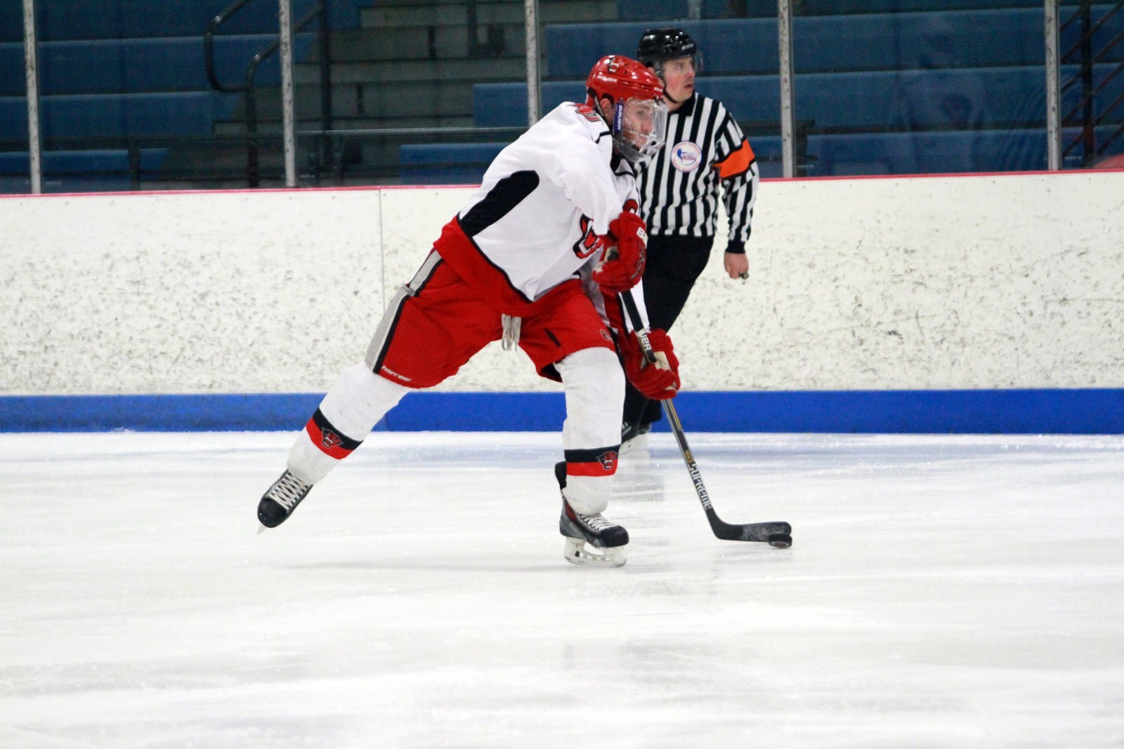Daniel Swink Men's Ice Hockey (DII) Davenport University Athletics