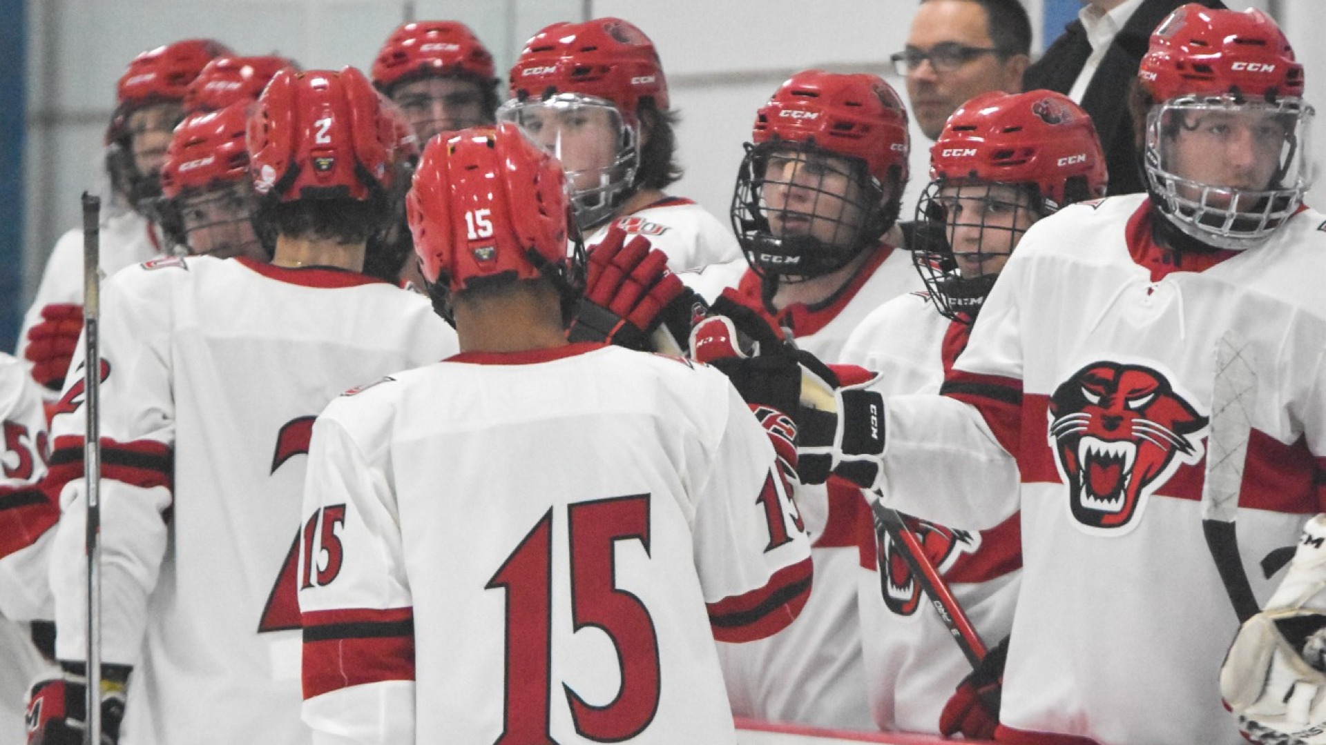 D3 Hockey 2024