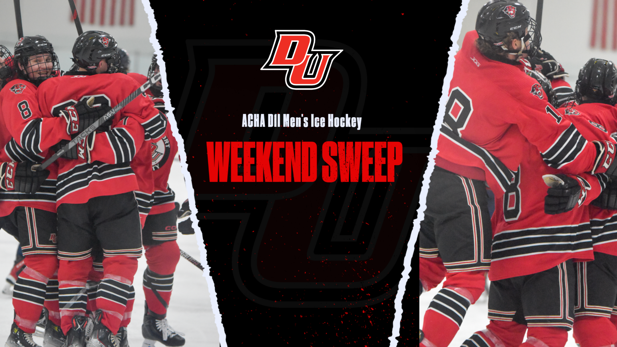 D2 Hockey Recap