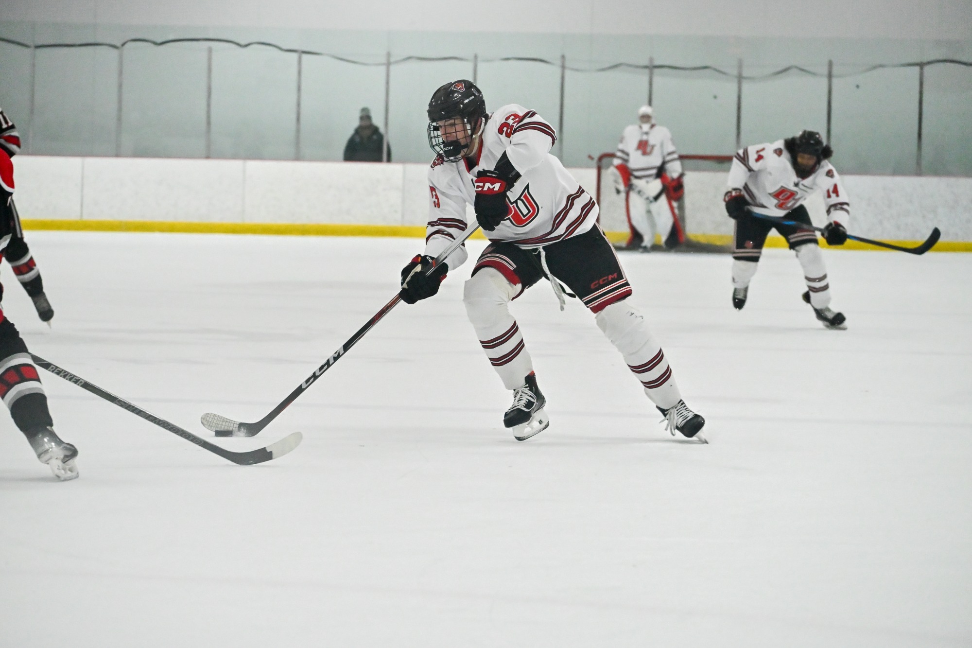 D2 Hockey