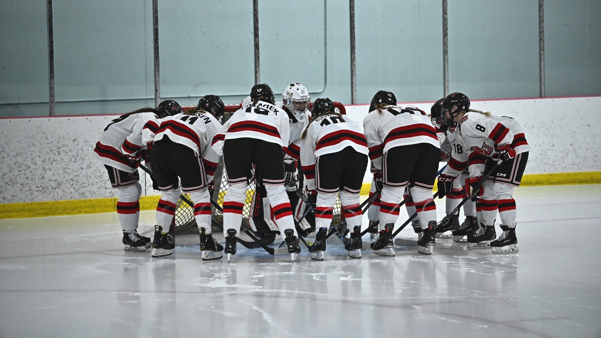Women's Hockey Group Goal