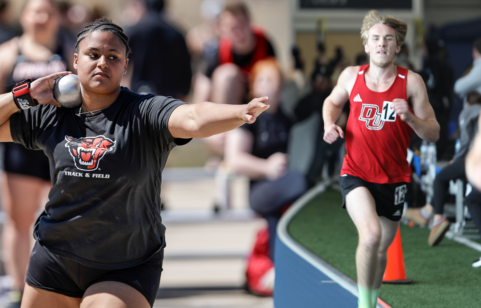 Procter Domany Records