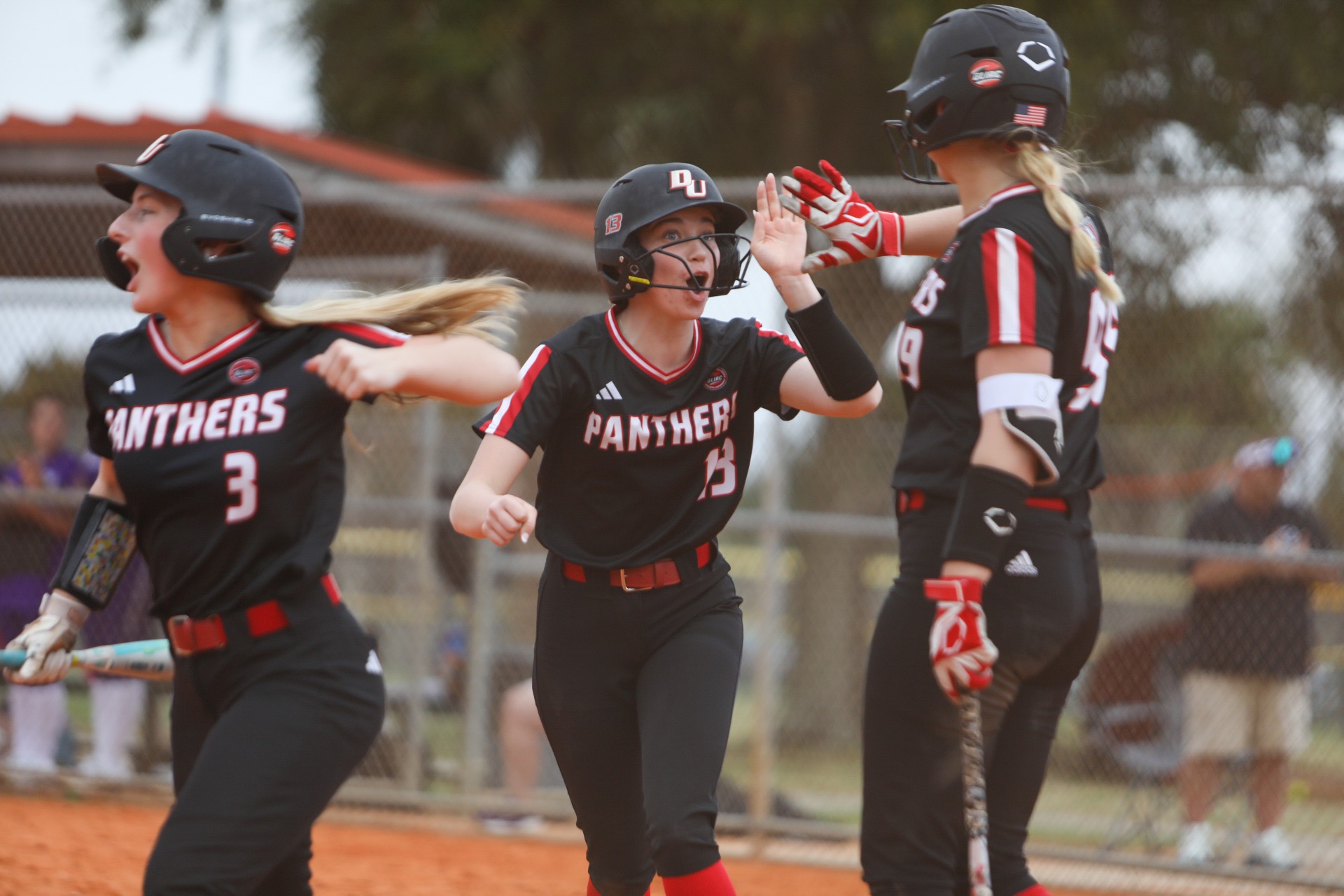 Robakowski and Drenth