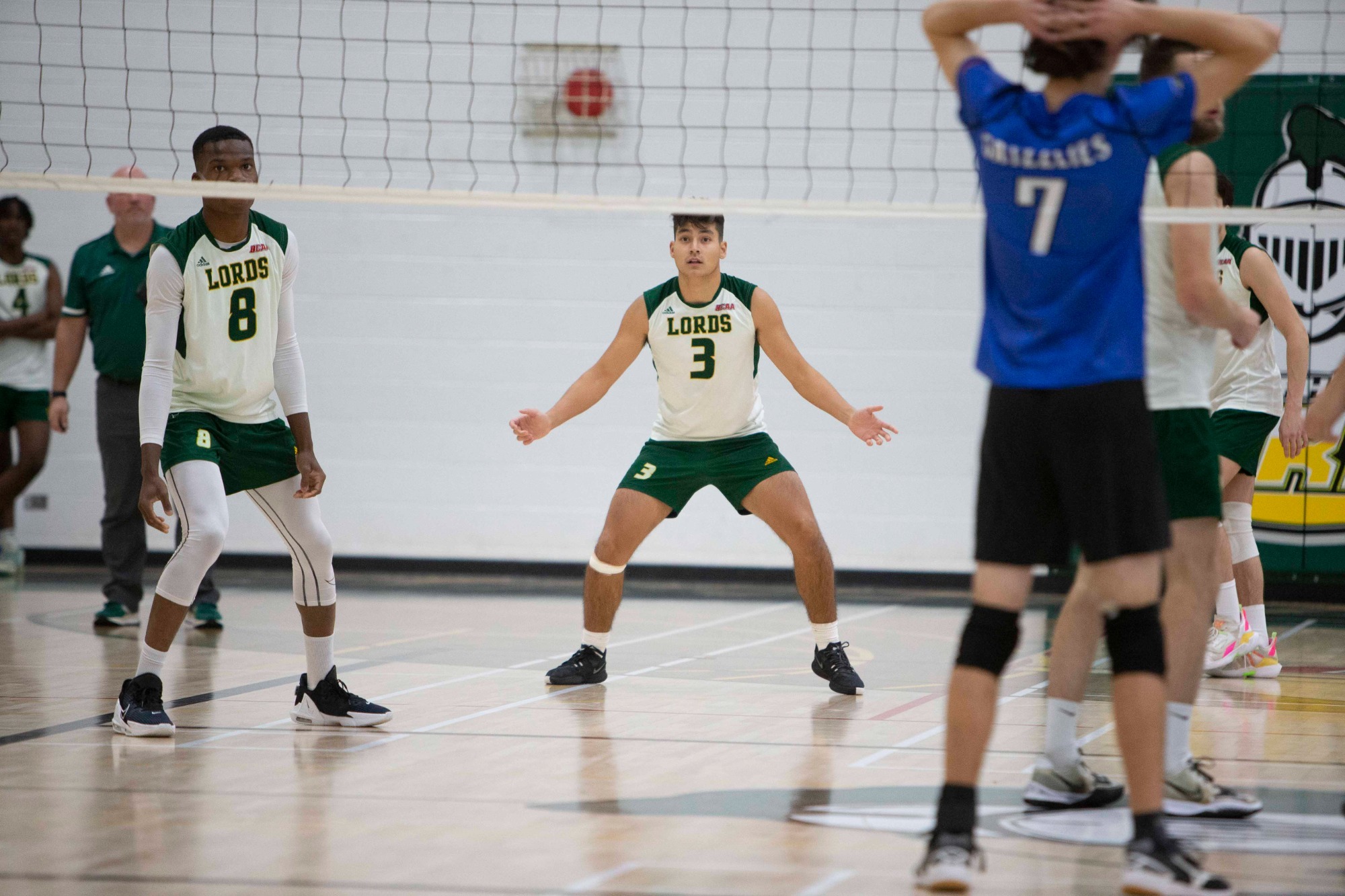 Nandor Gallo 202223 Men's Volleyball Durham College Athletics