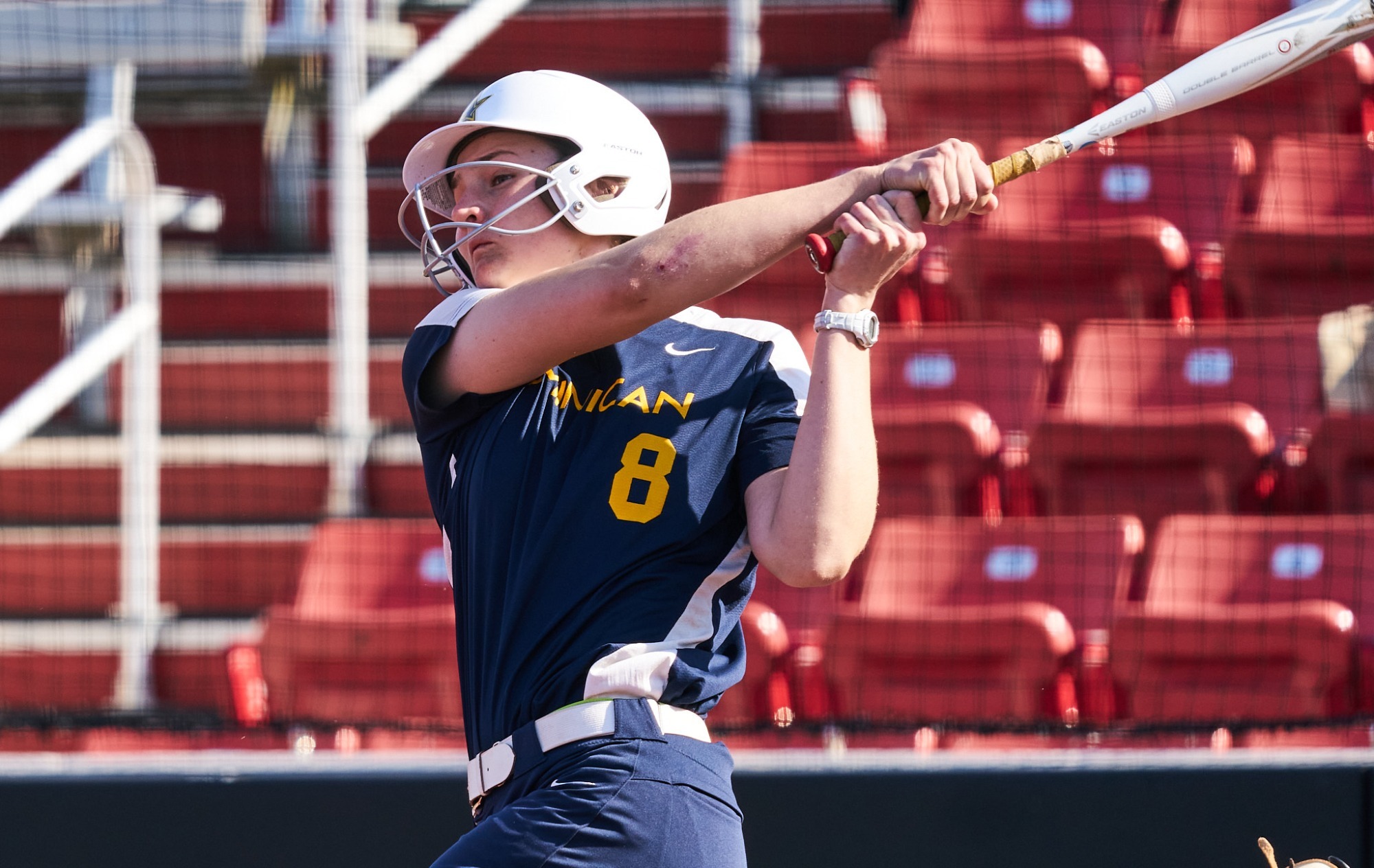 stars-upset-raiders-in-nacc-tournament-dominican-university-athletics