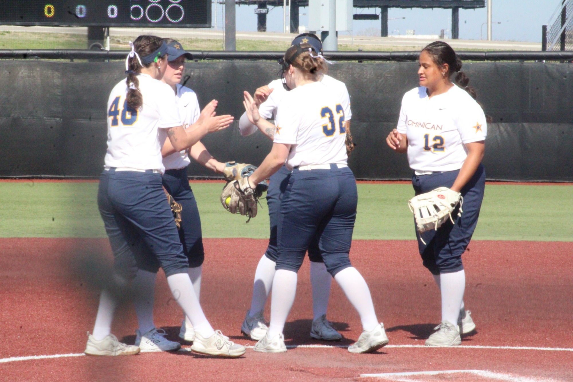 Softball Handshake