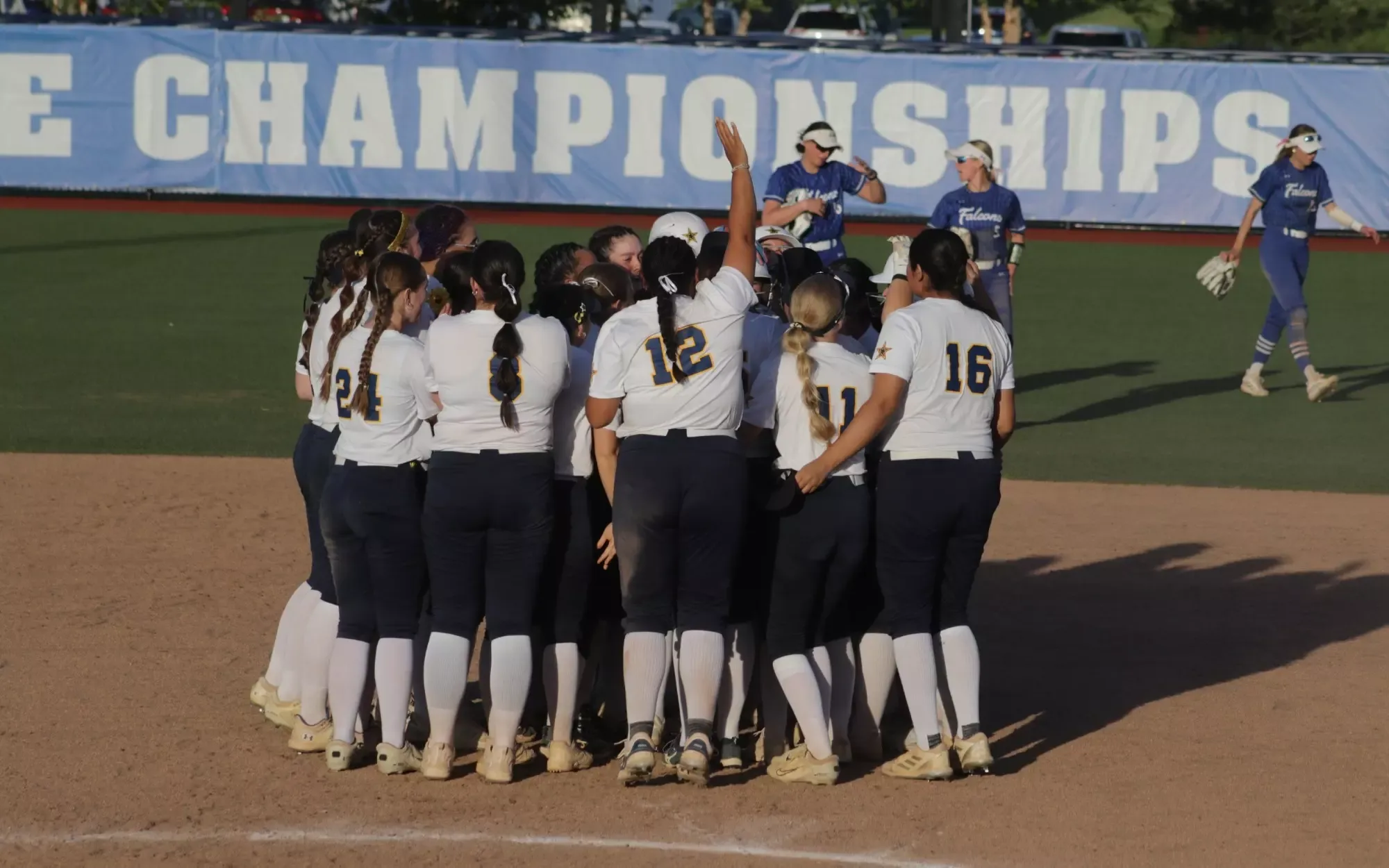 Softball NACC Tournament Walk-Off Win on 5/9/2026
