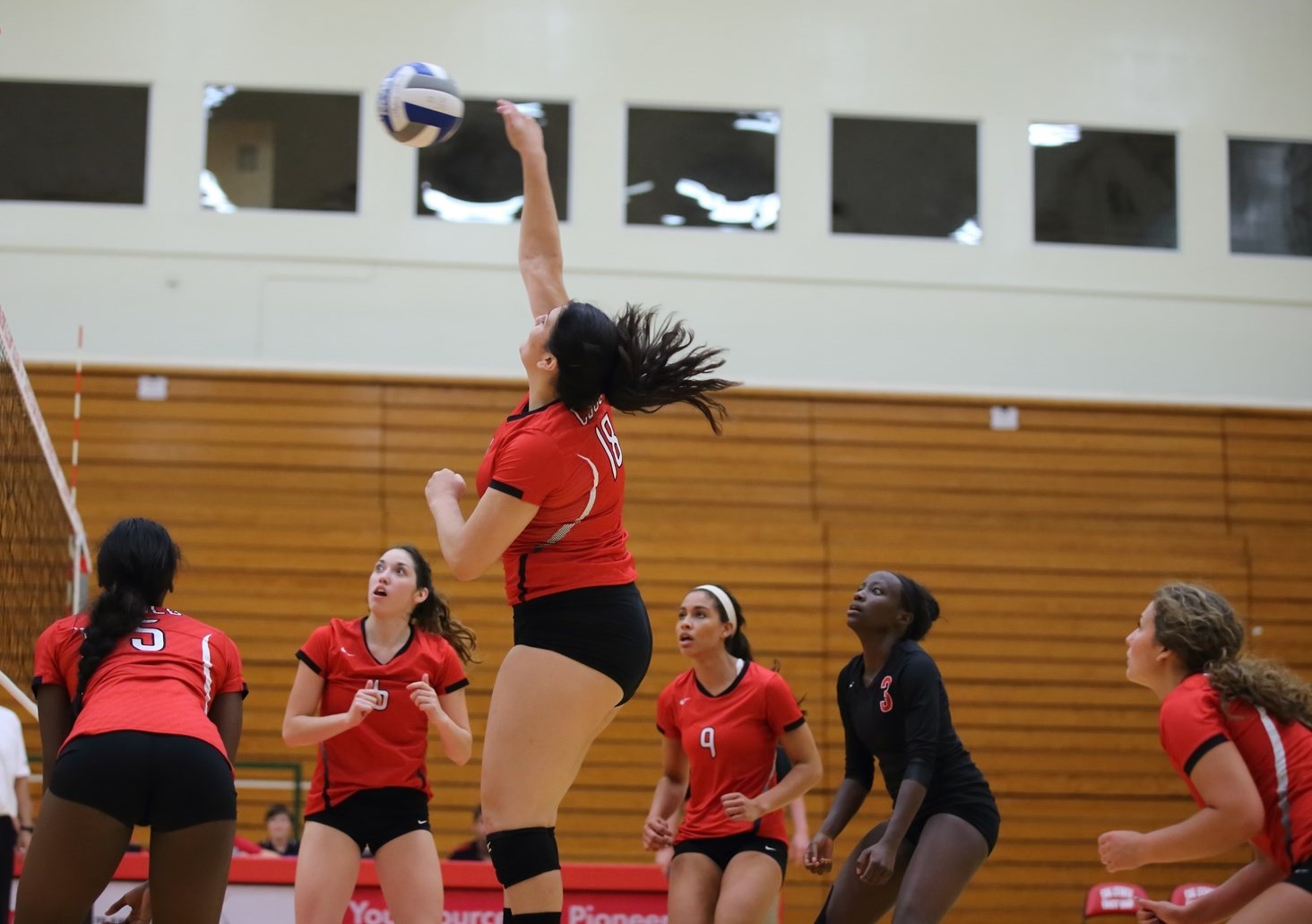 Michaela Gardner Women's Volleyball Cal State East Bay University