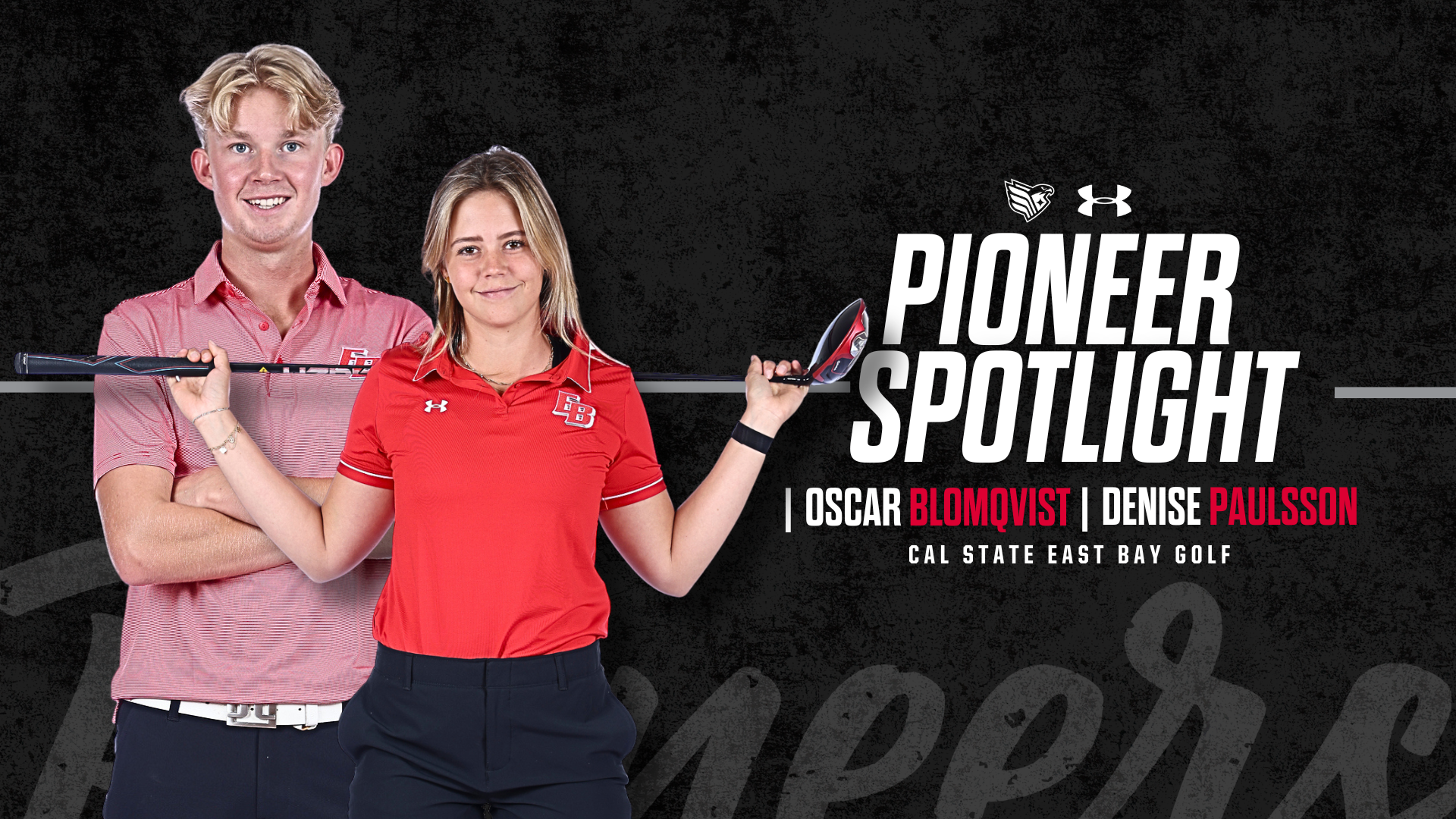 Pioneer Spotlight 10-15