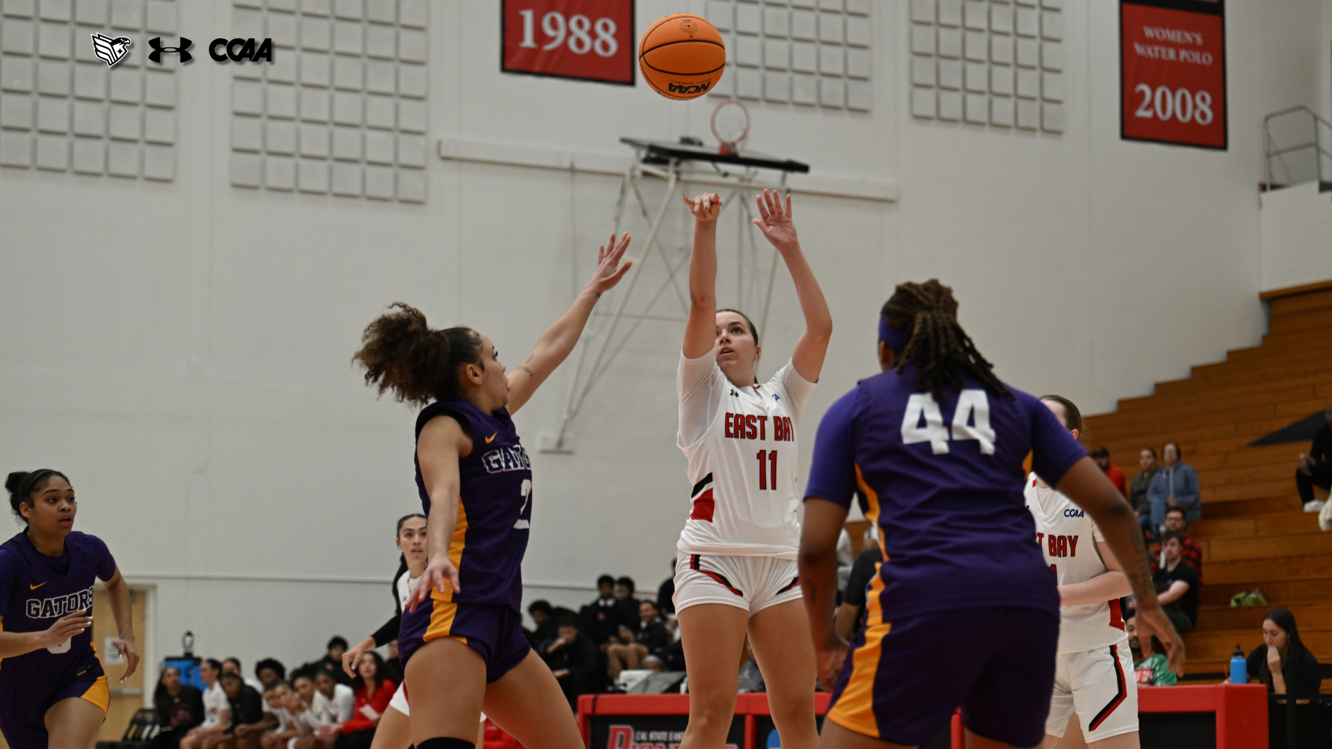 Lowenberg vs SF State