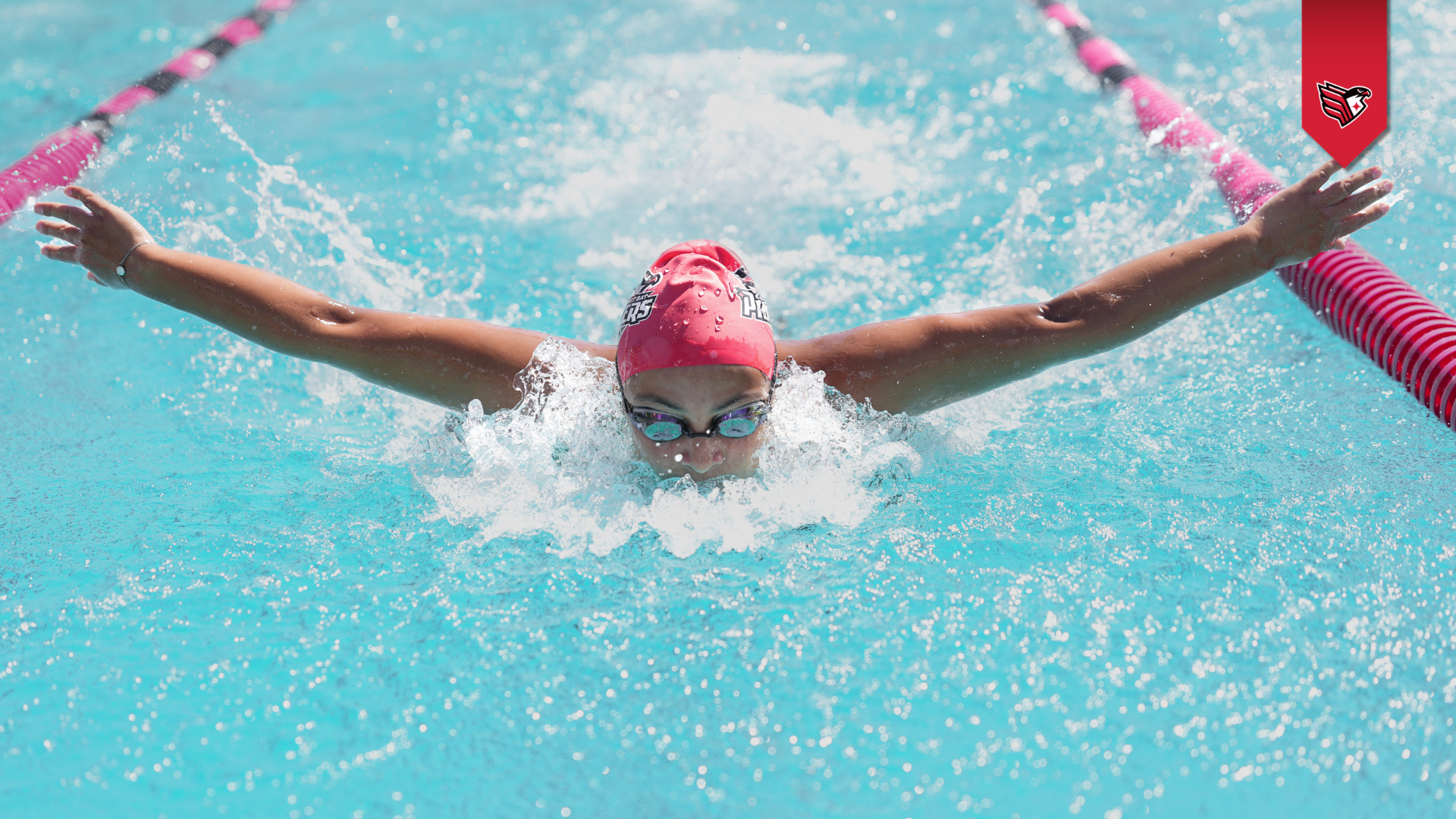 WSWIM Recap 10/17/2026