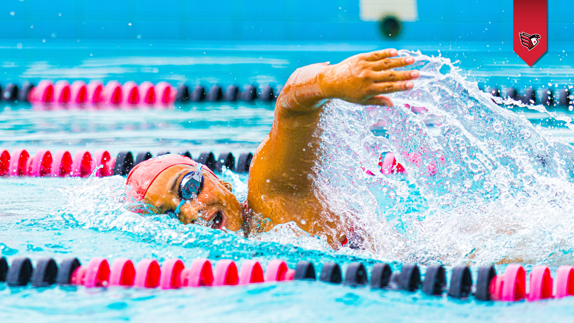 WSWIM RECAP 10/24/2026 