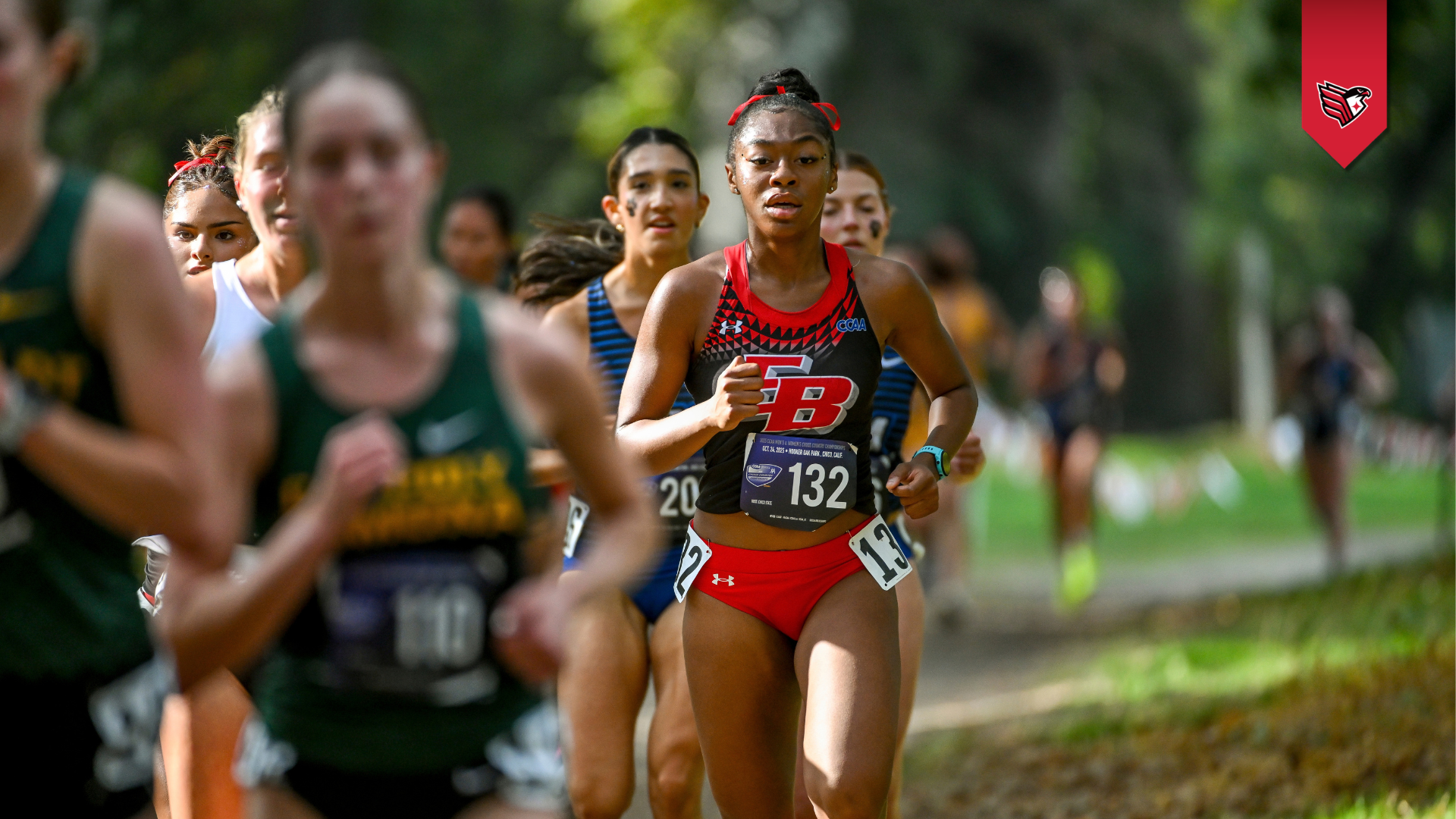 XC