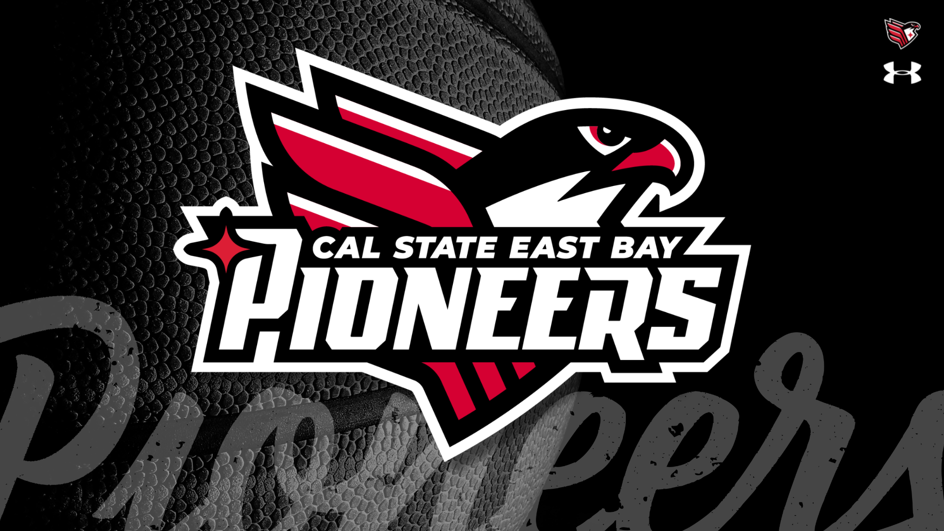 PIONEER BASKETBALL BANNER