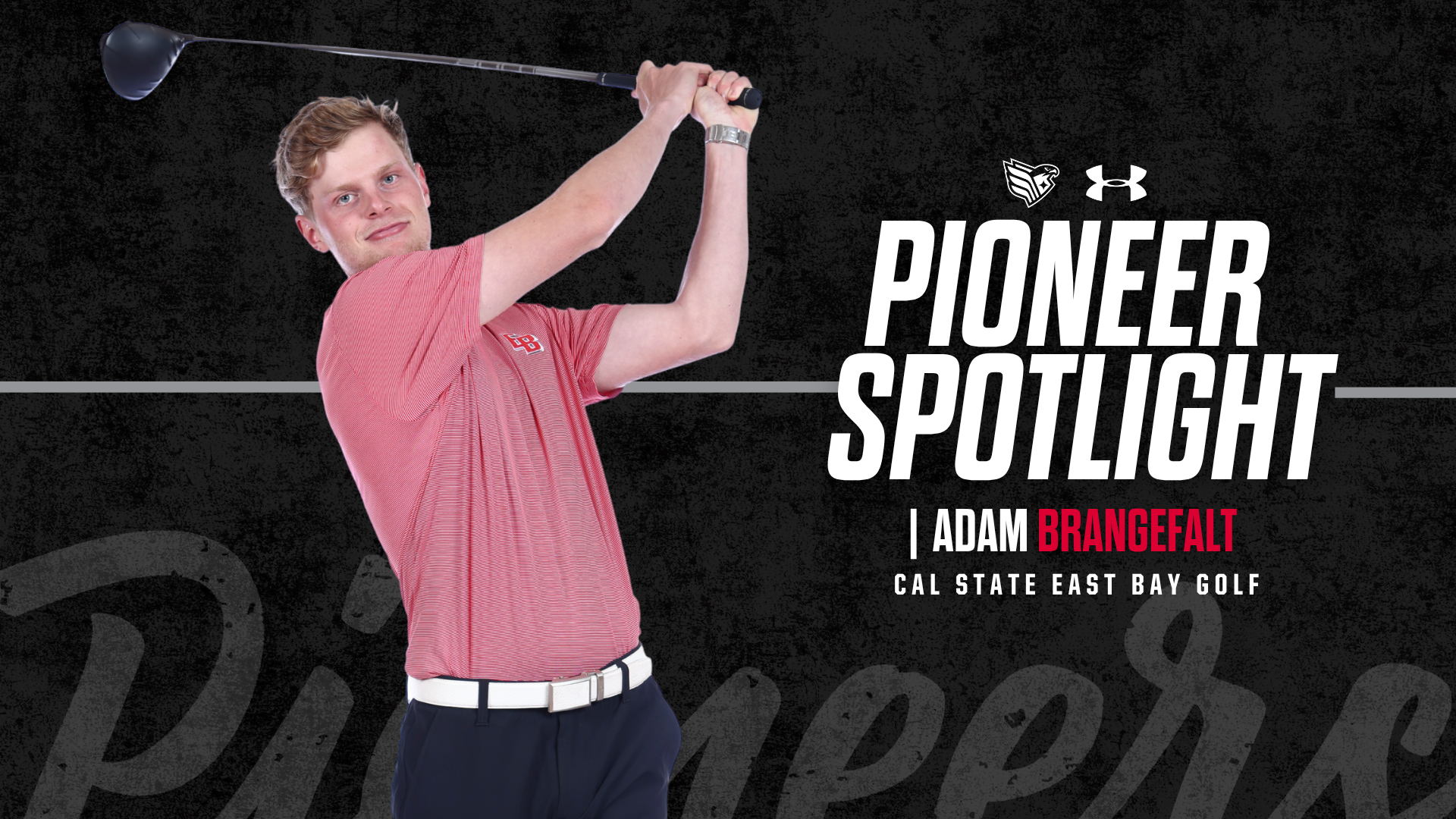 Adam Brangefalt Spotlight