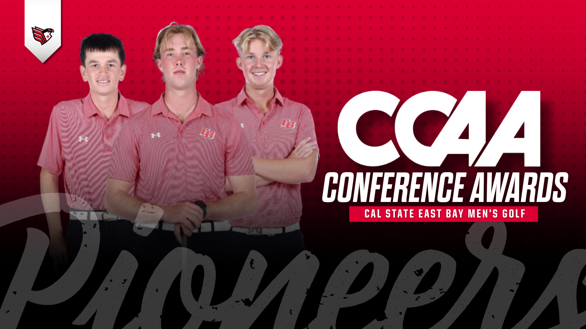 ALL CCAA 