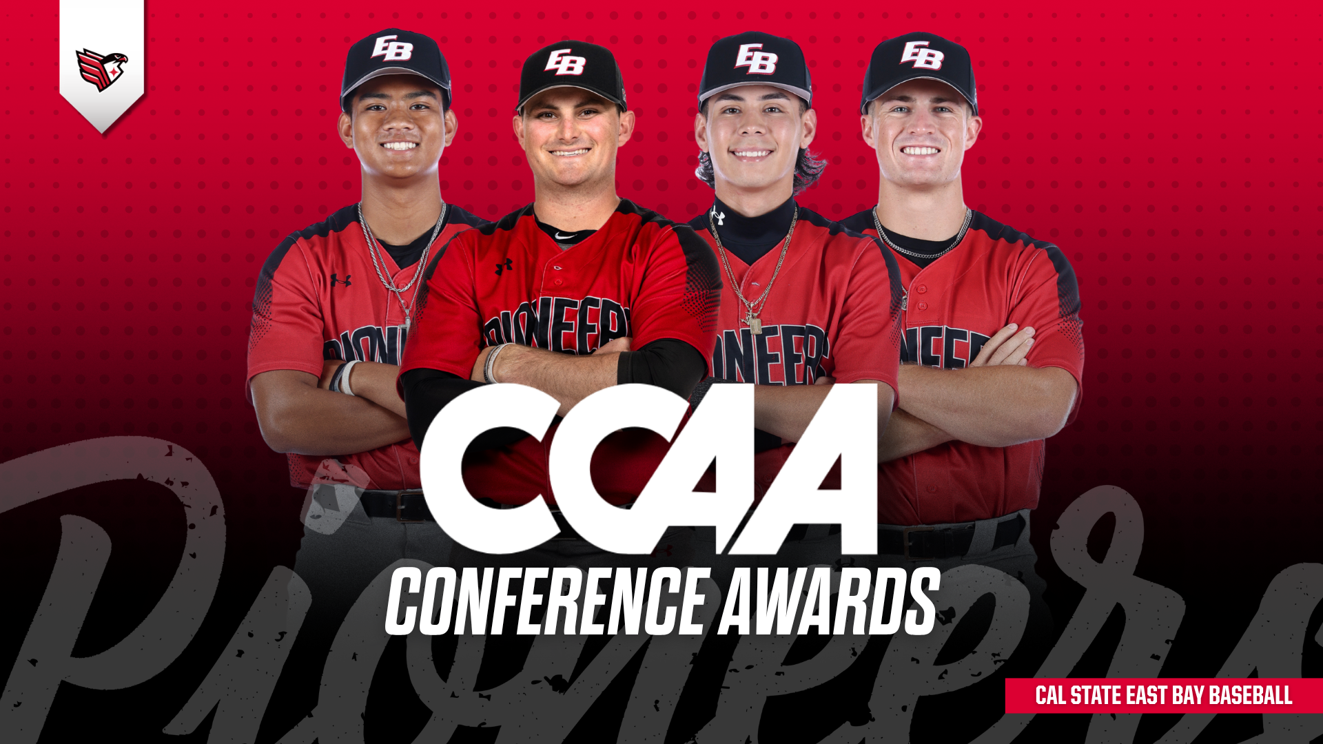 Baseball awards 