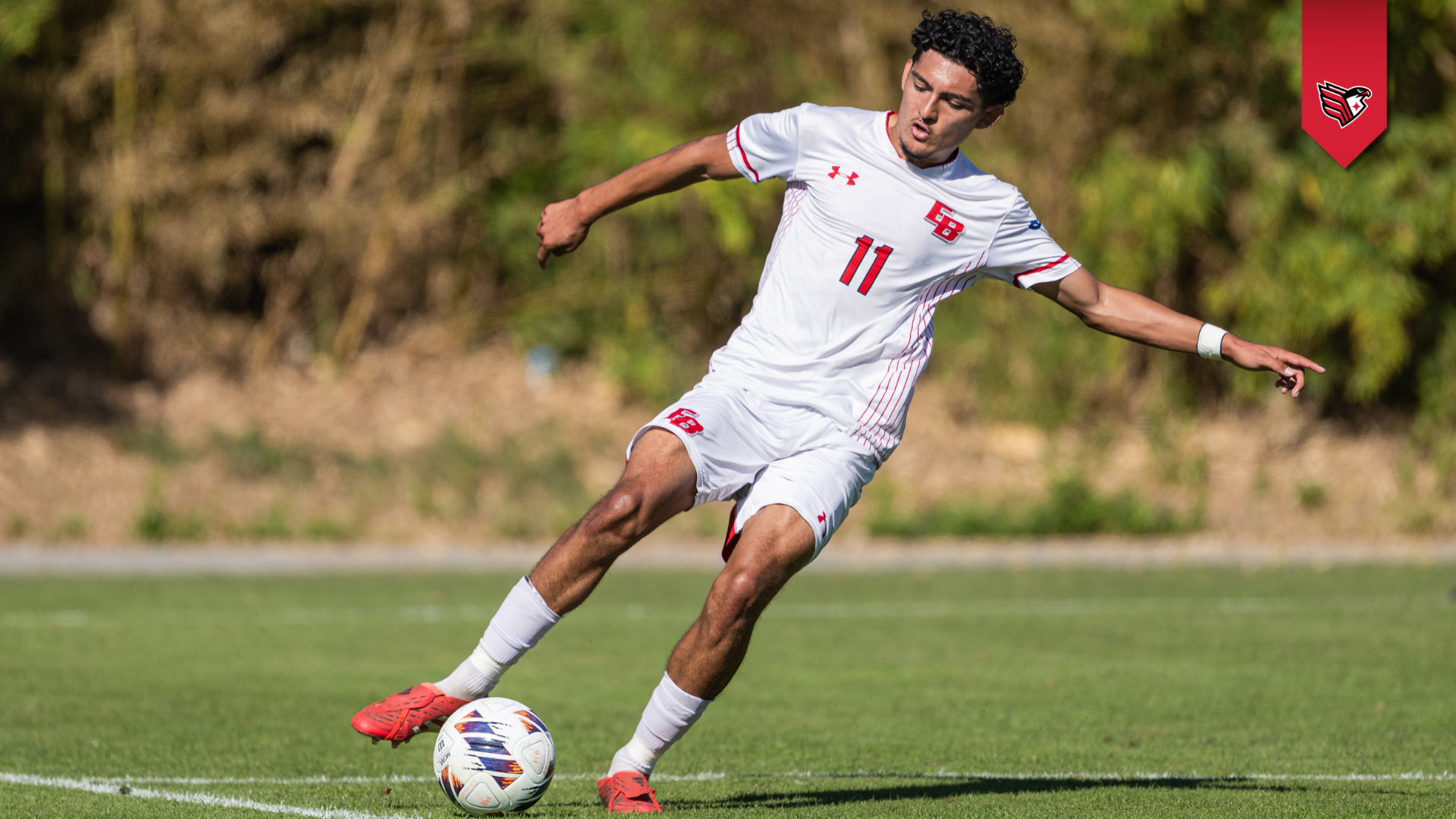 MSOC recap