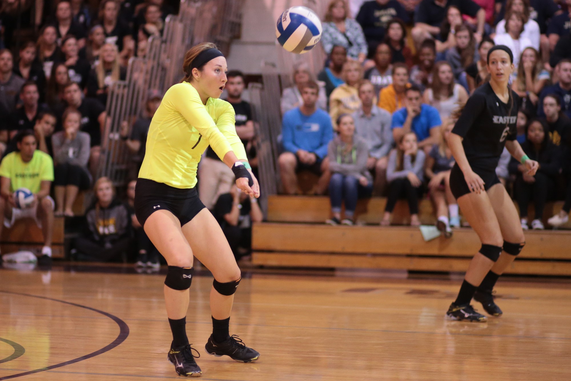 Volleyball Season Ends in NCAA Round Two Eastern University Athletics