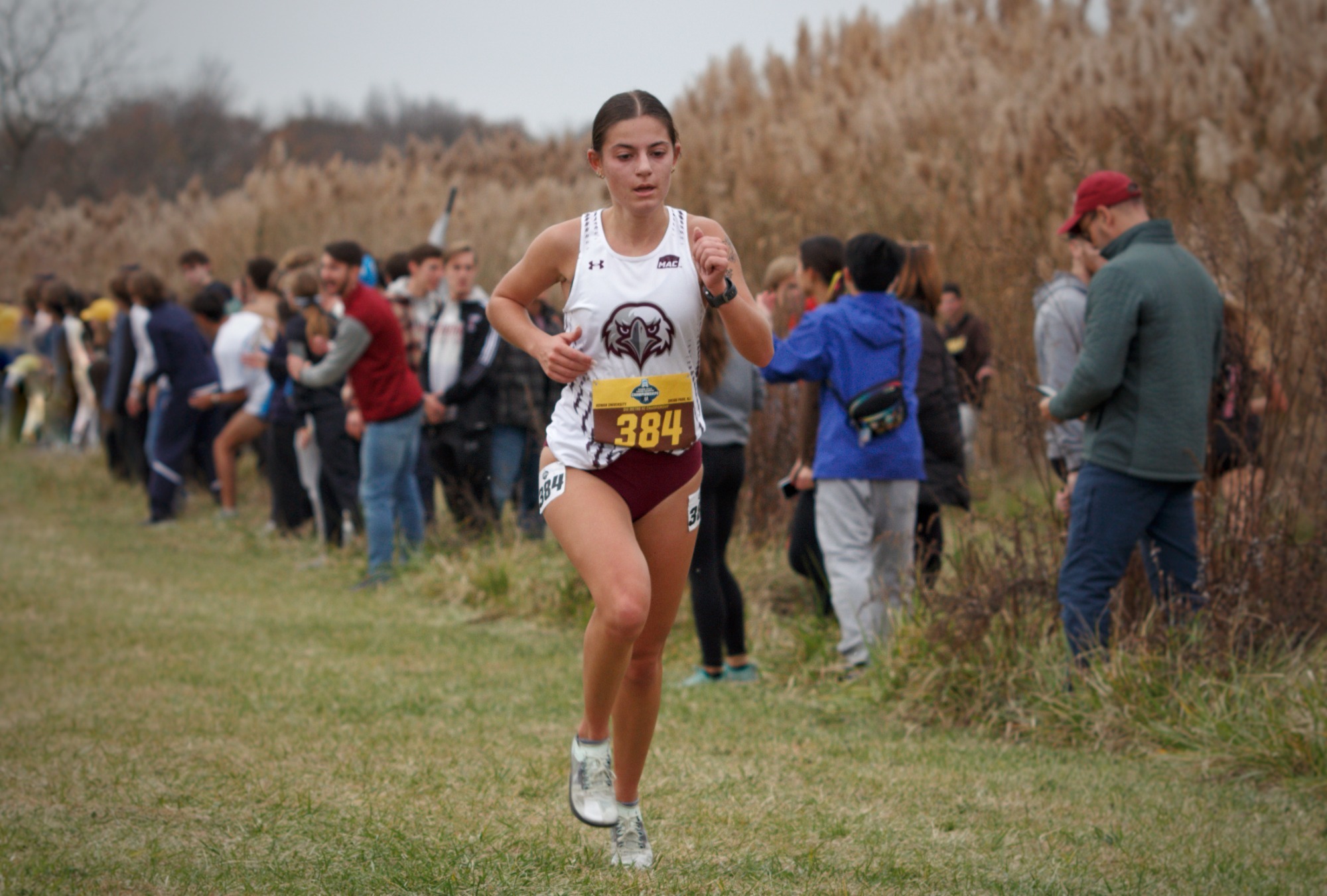 Ashley Metro Region Championships