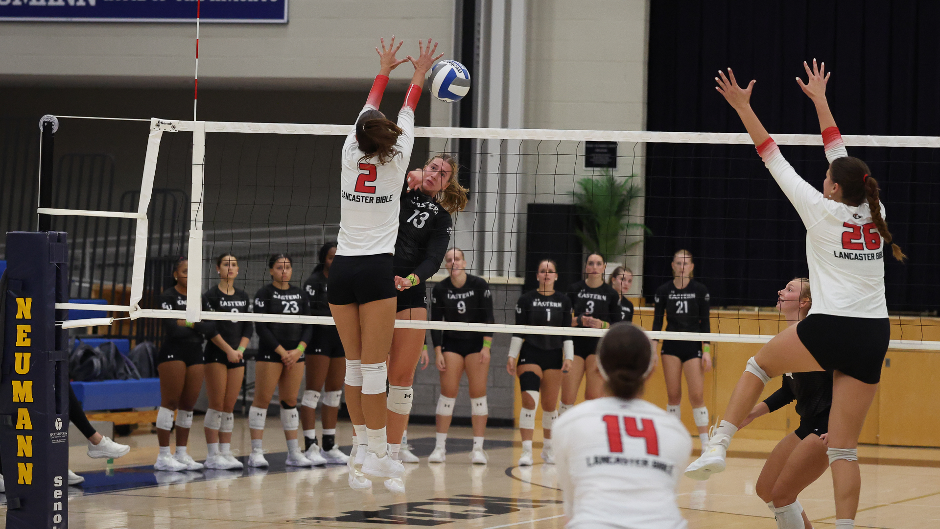 WVB vs. LBC
