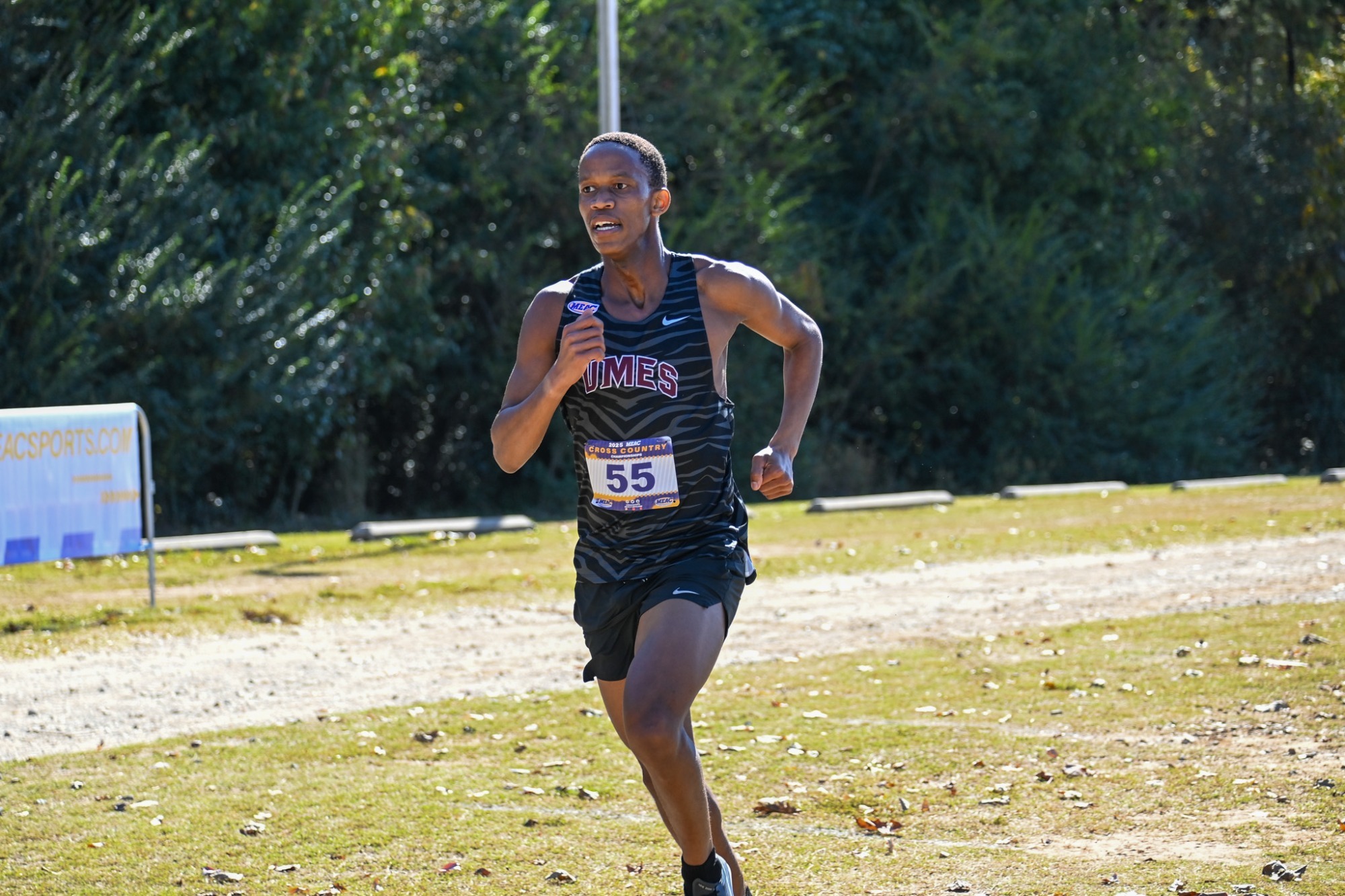 Mbatha 2025 Men's Cross Country