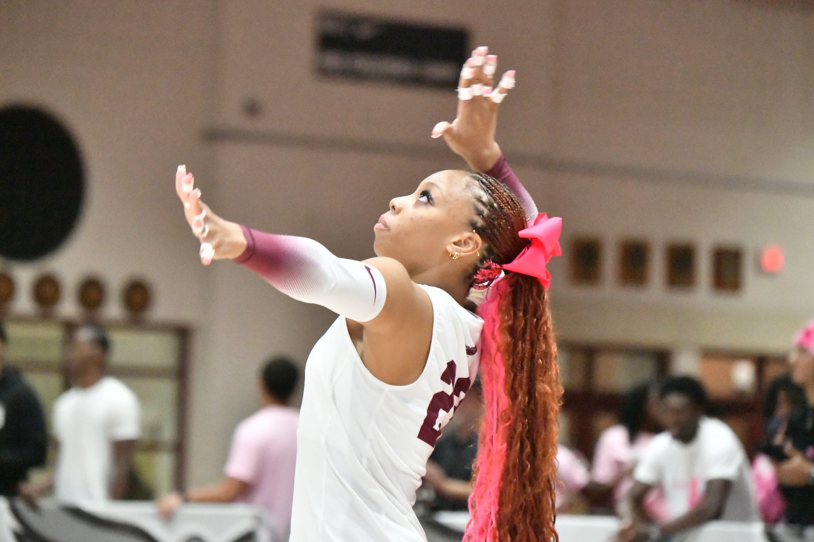 WVB vs DSU Story 