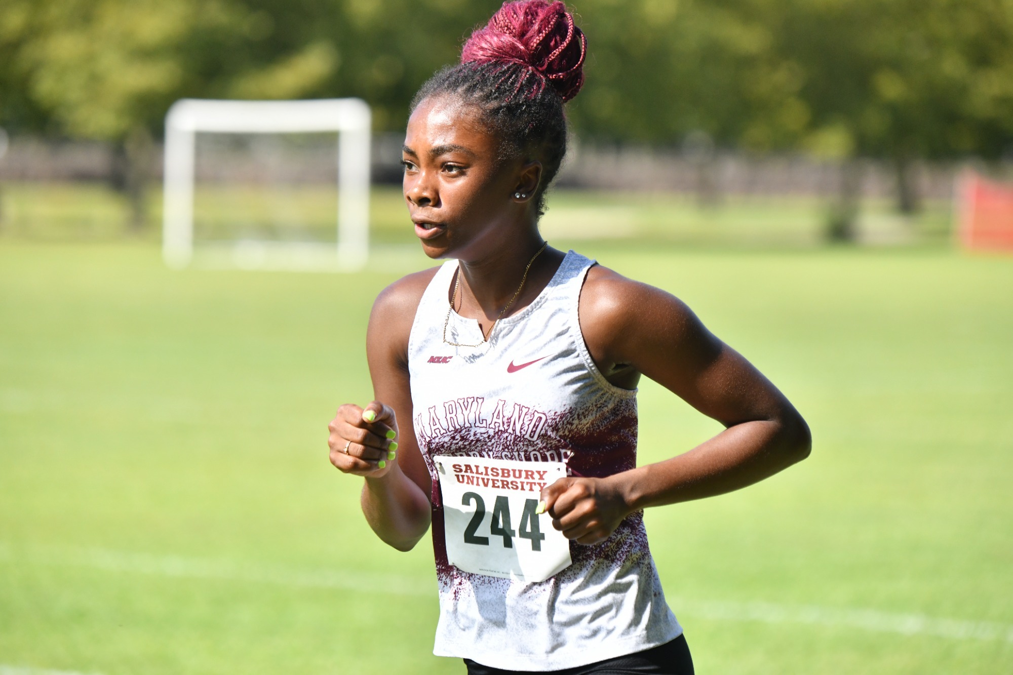 Johnson XC