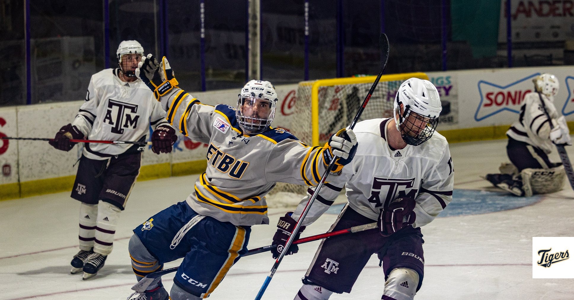 hky-d2-23-tamu-split