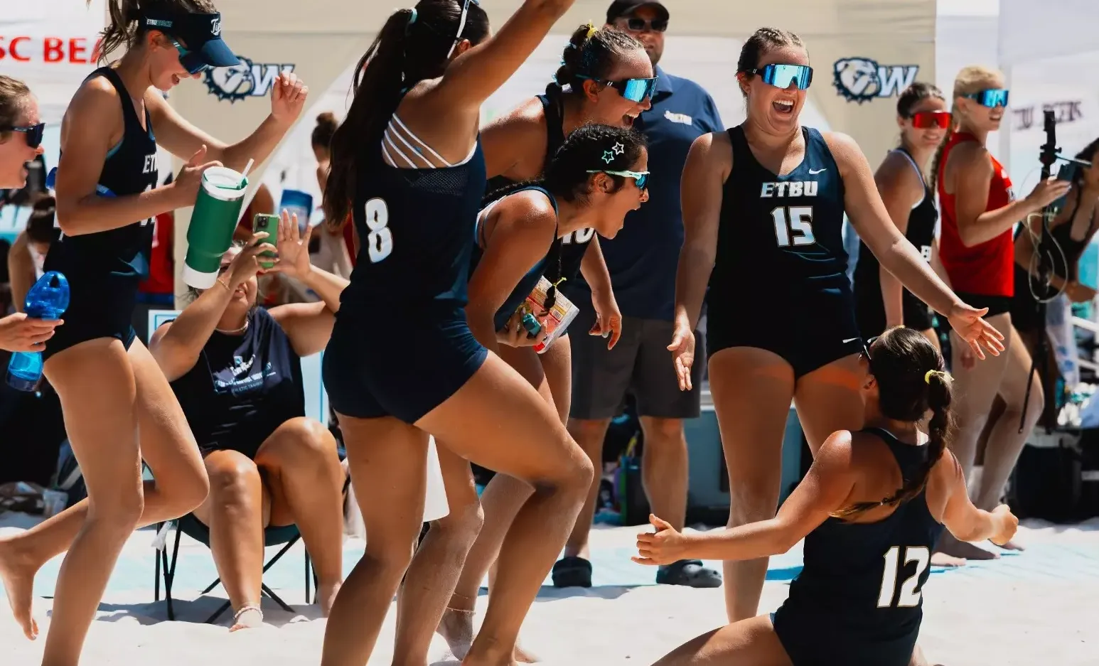 bvb-26-avca-team-academic-champion