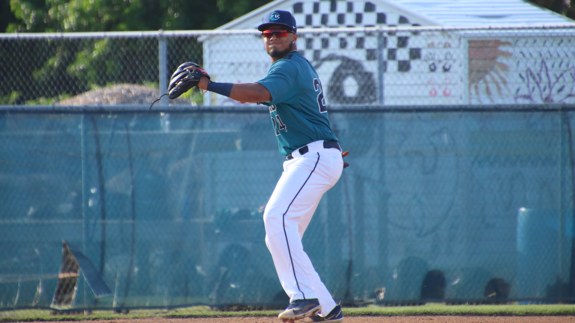 Bryan Torres Baseball Eckerd College Athletics