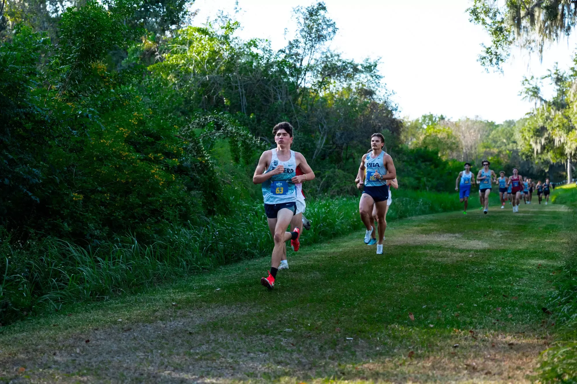Runners competing in race