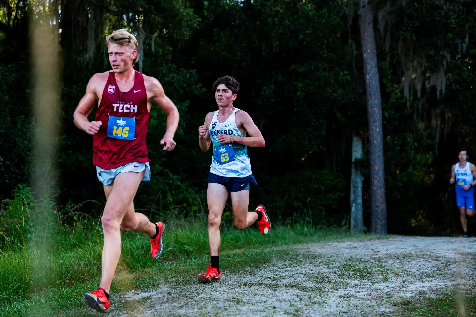 Runners competing in race