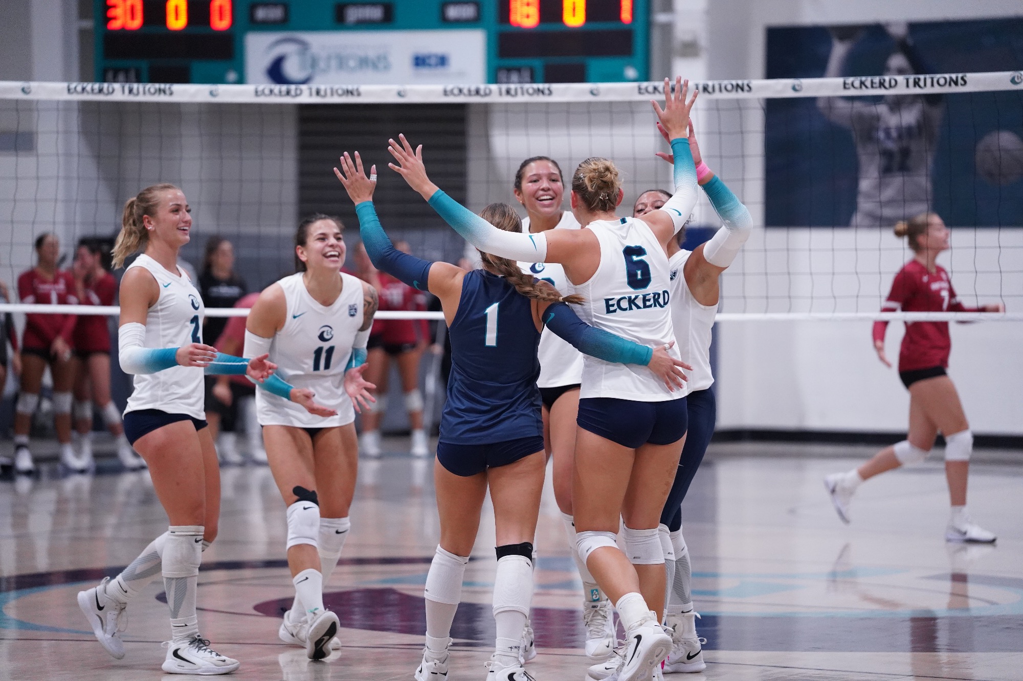 Players celebrate after a point