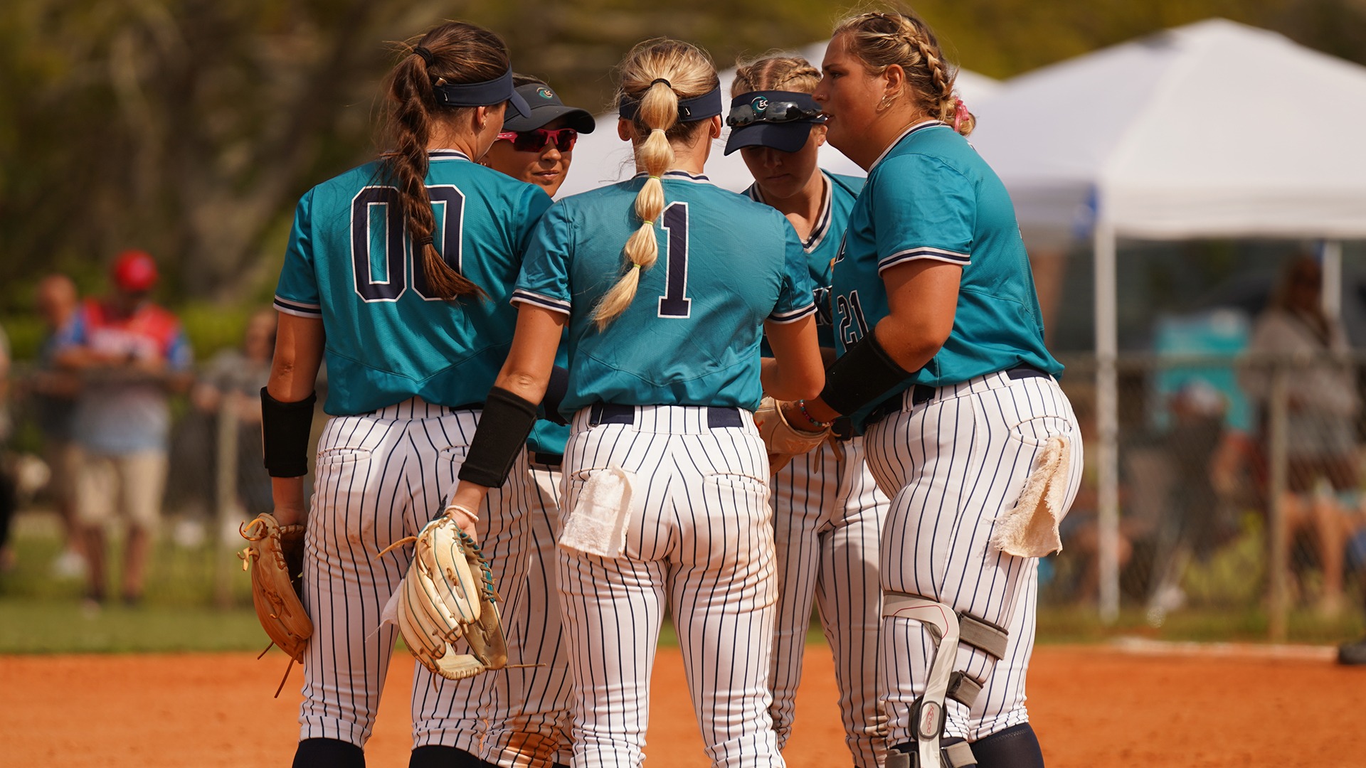softball players huddling in the circle 