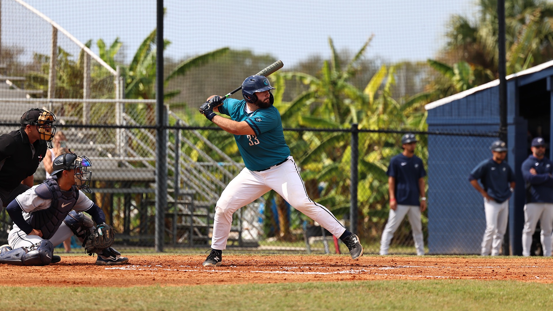 Cabina in batting stance