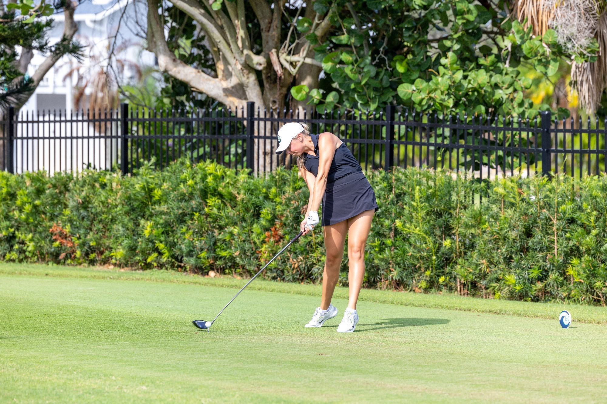 Eckerd golfer swings club at Eckerd Invitational 