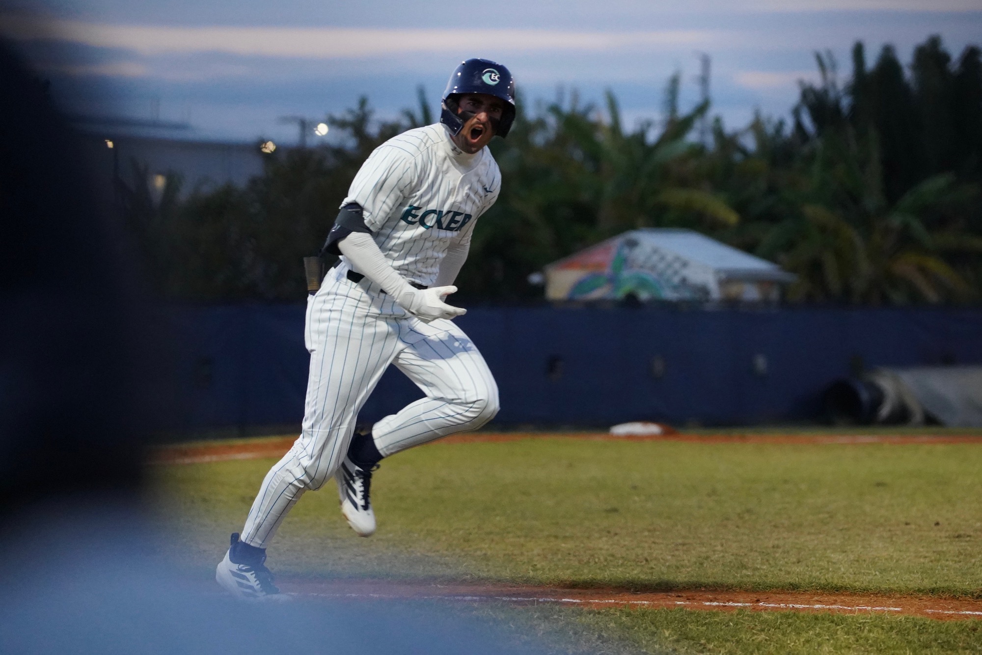 Player celebrates after a hit