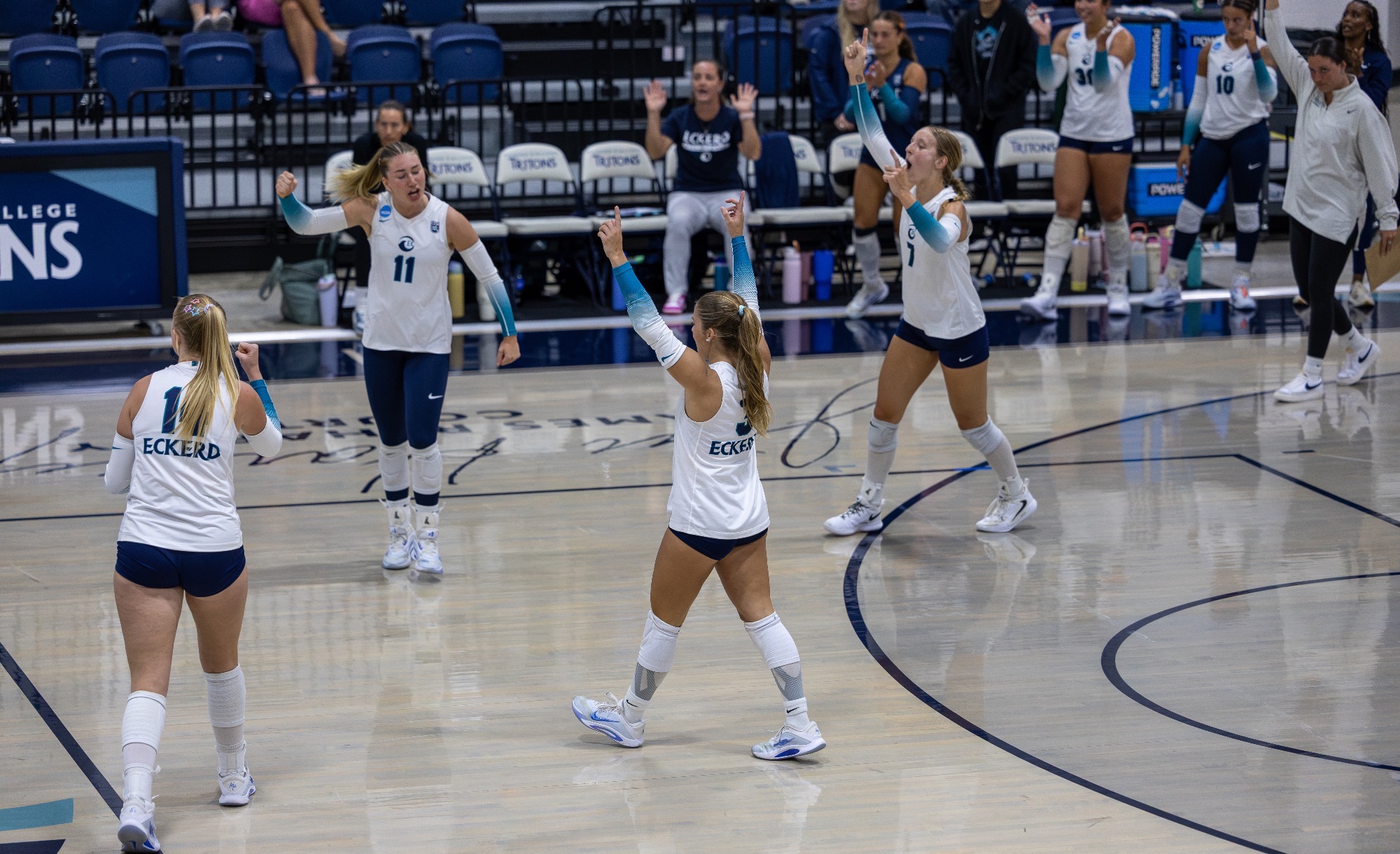 players celebrate after a point