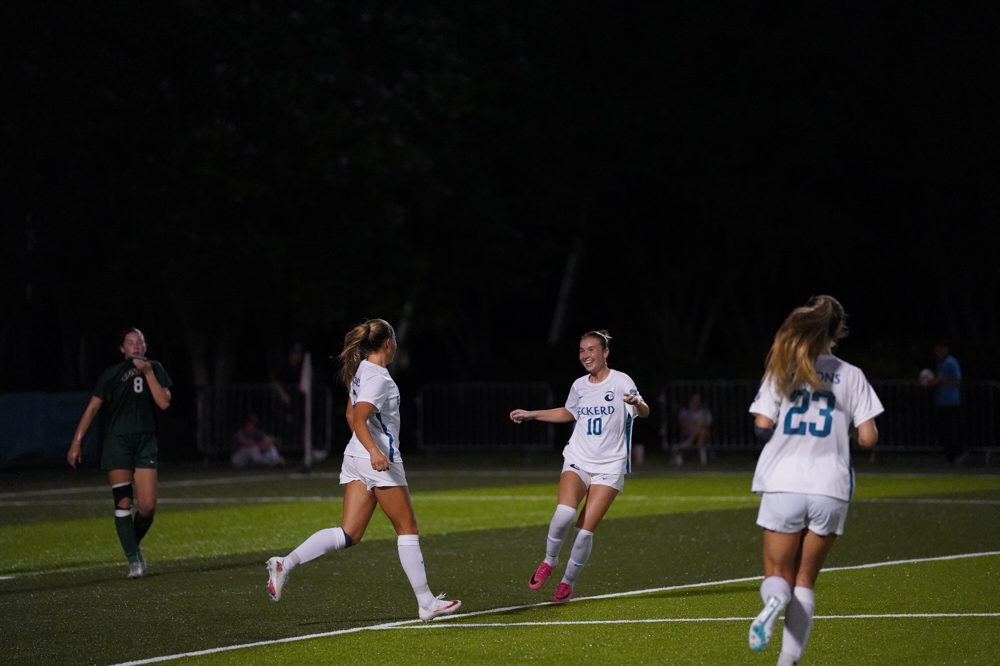 players celebrate after a goal