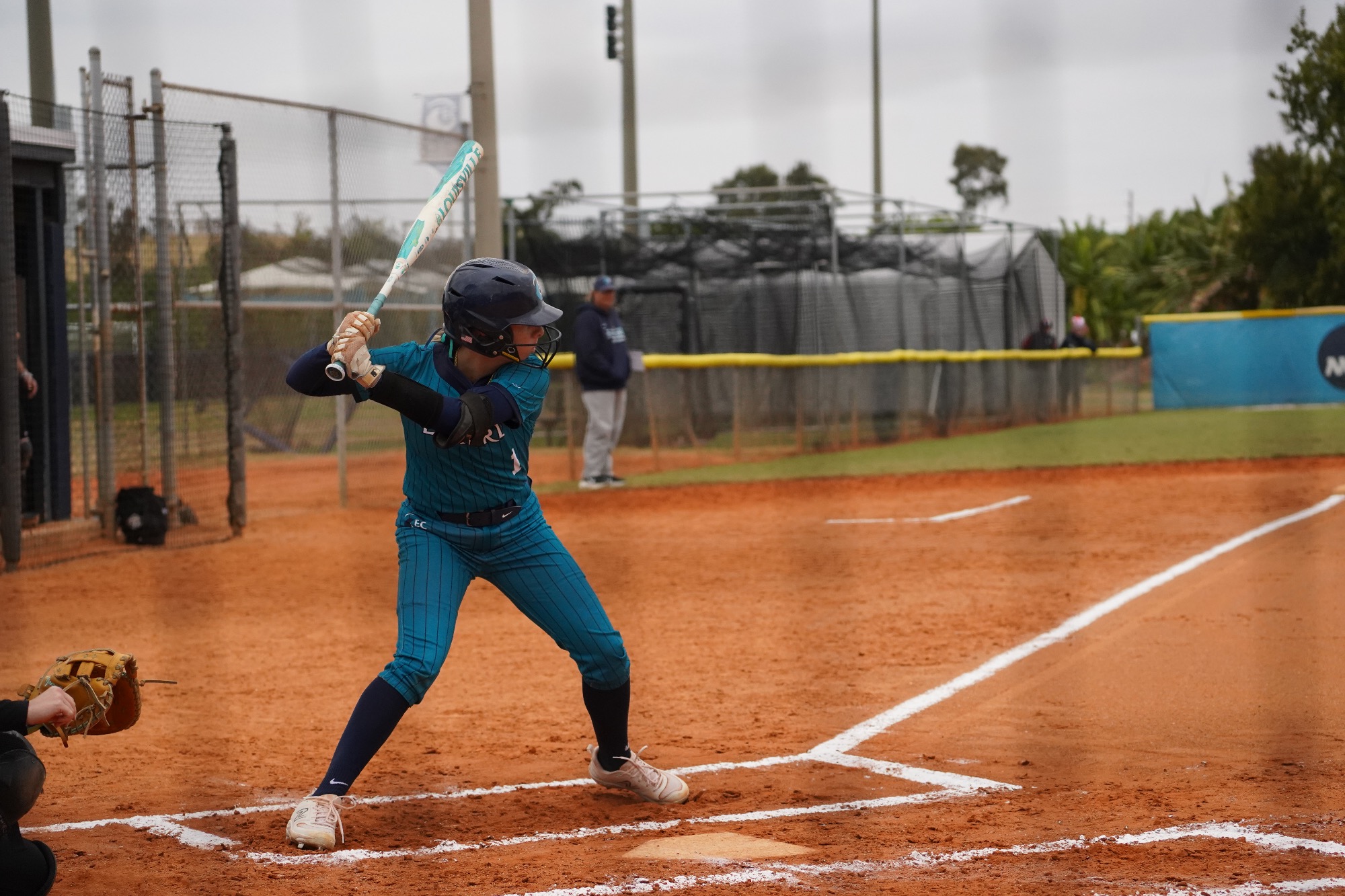 Batter in hitting stance