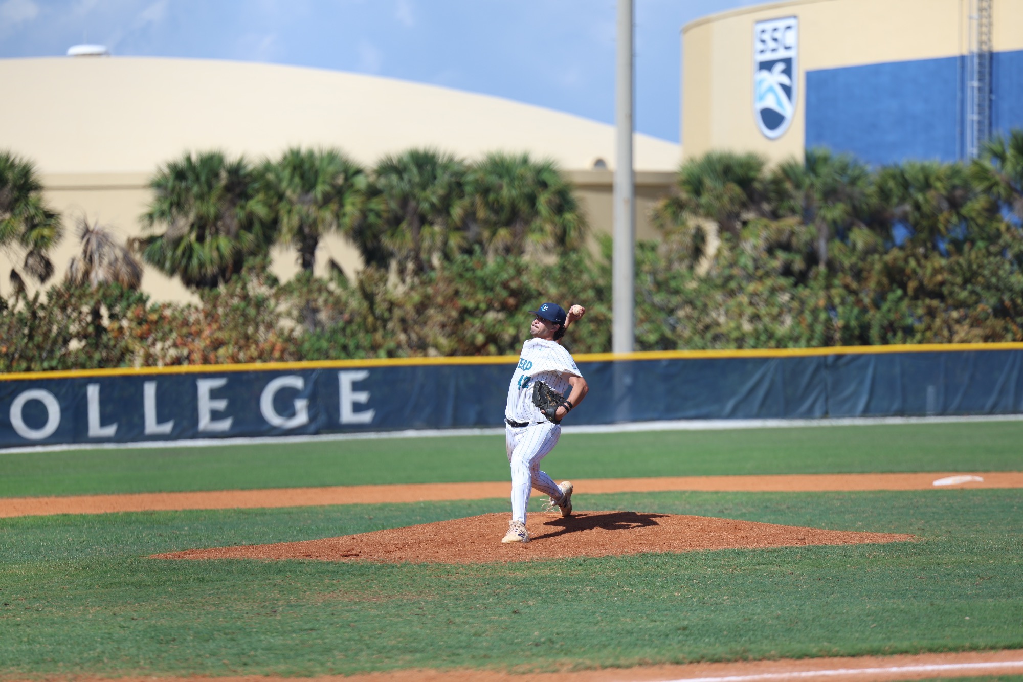 Pitcher pitching ball