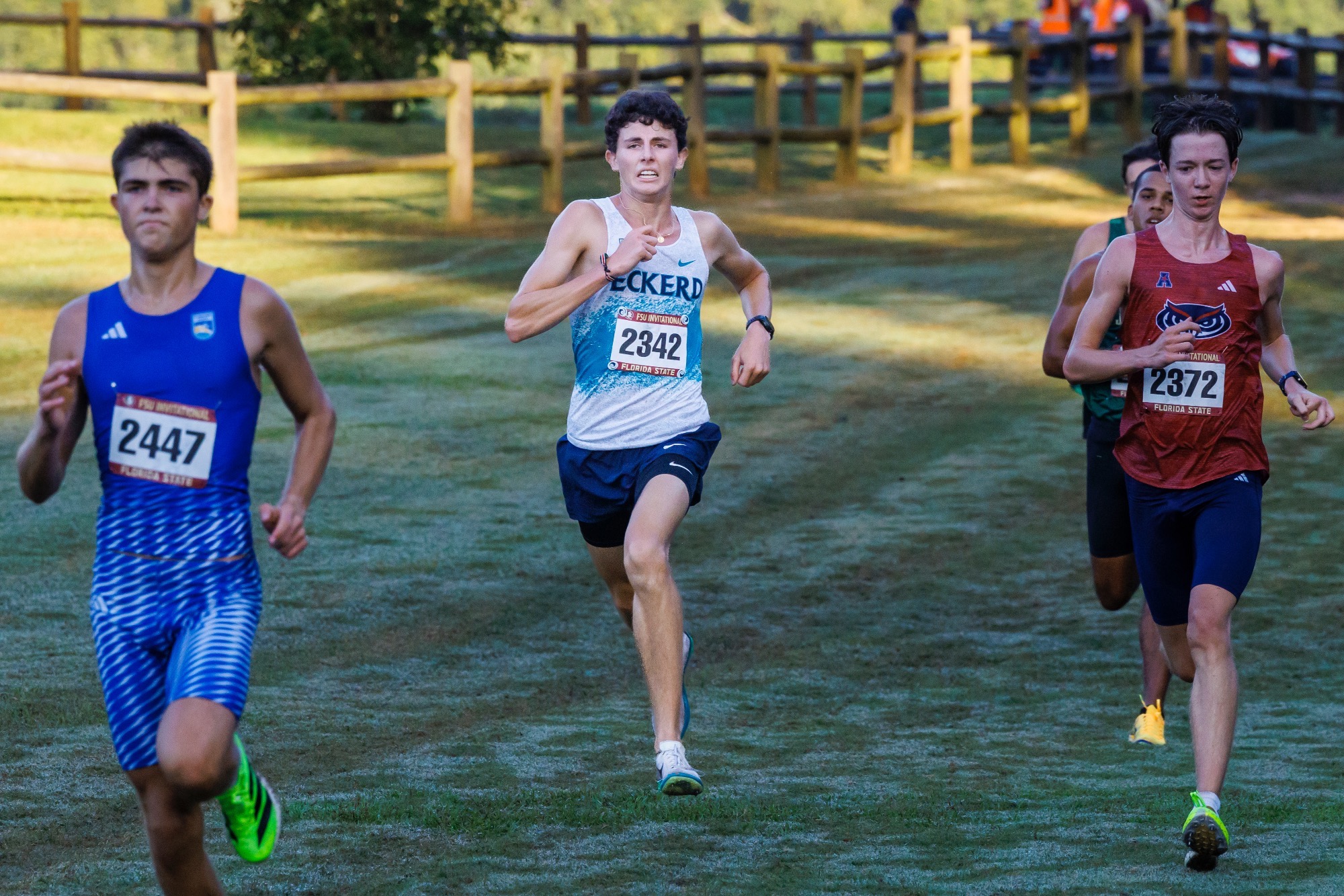 runner running