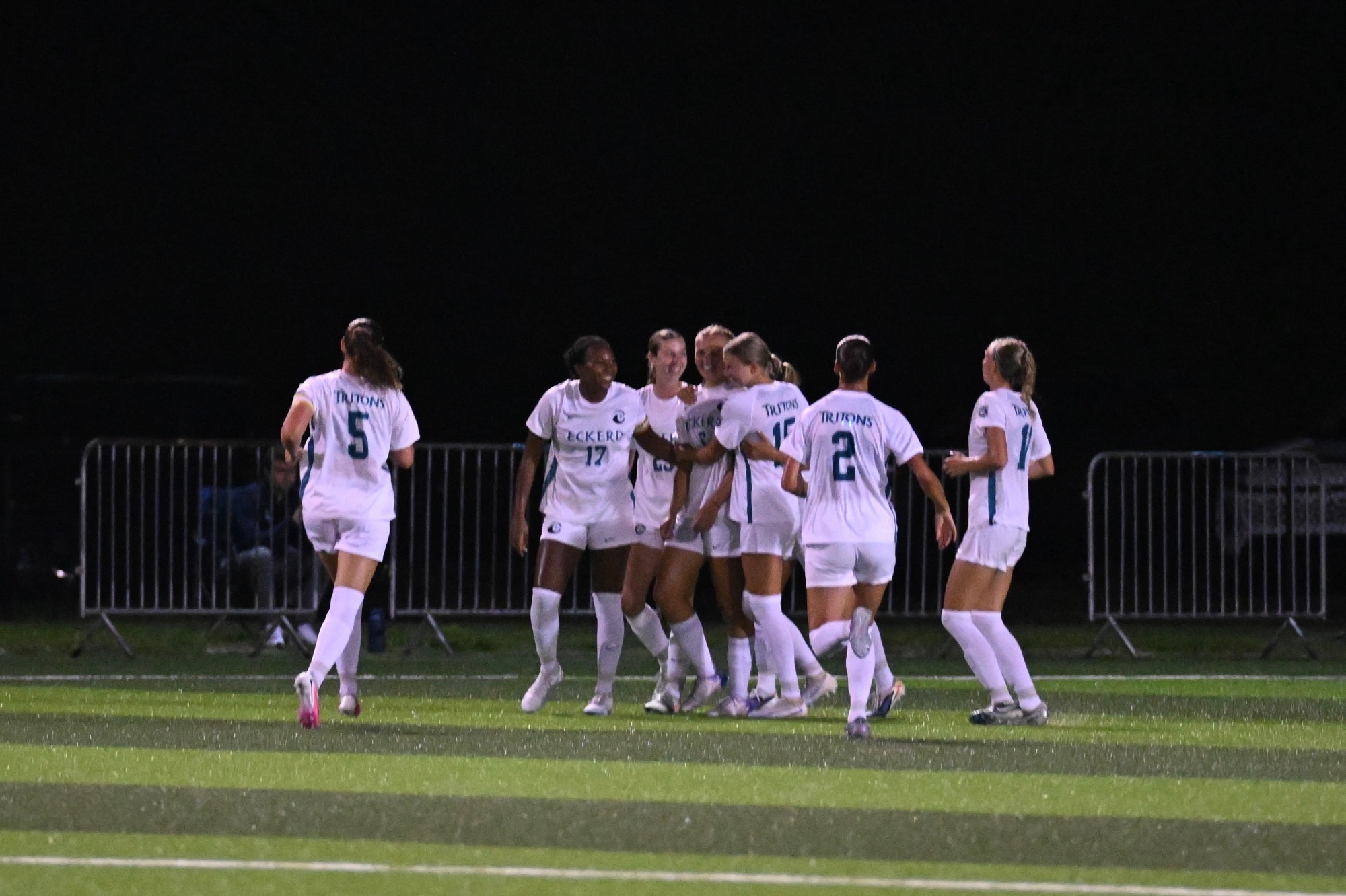 players celebrate after a goal