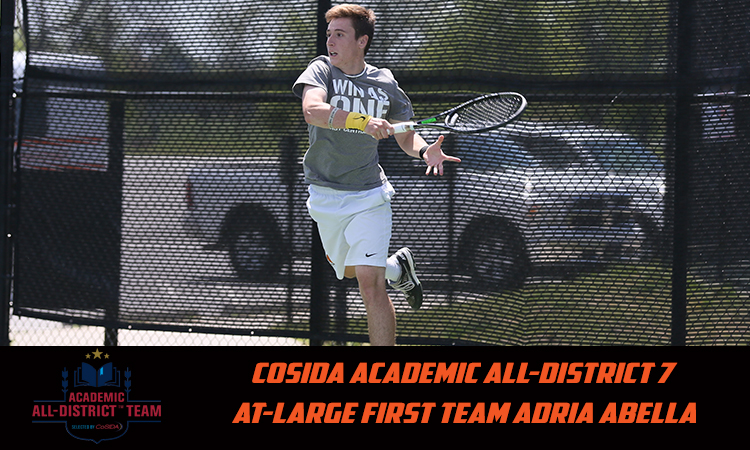 Abella,AdriaAcademic