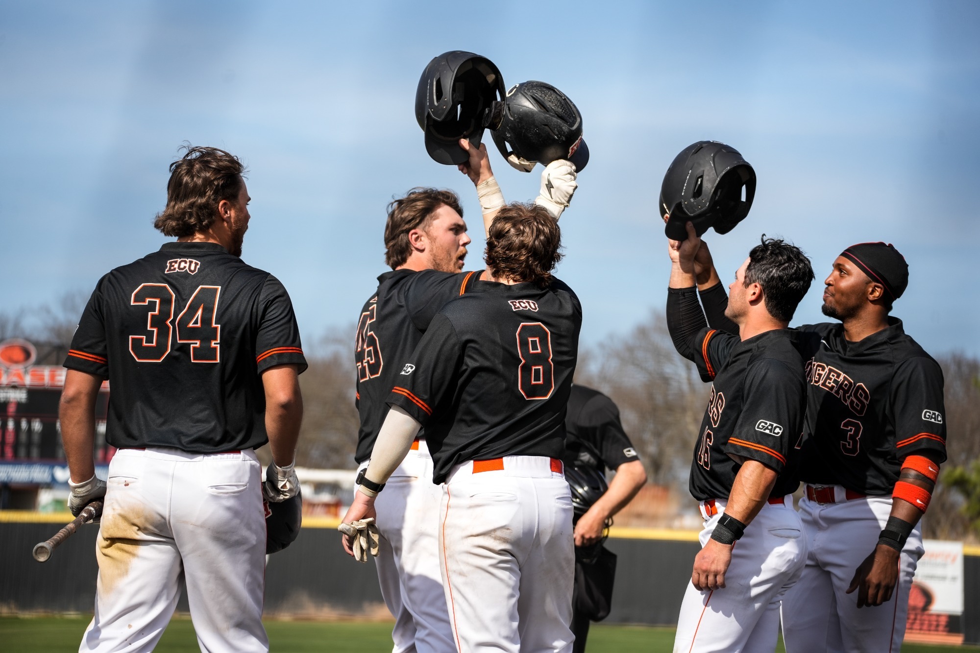 Seefeldt’s Grand Slam Lifts Tigers Past Bison in Series Finale