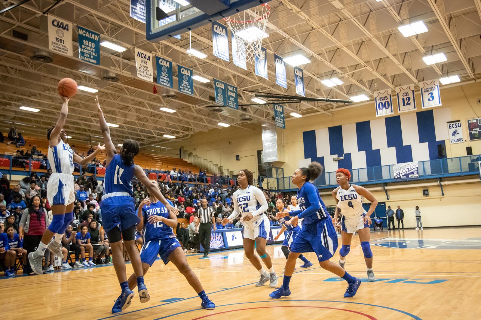 Jalyn Brown Women's Basketball Elizabeth City State University